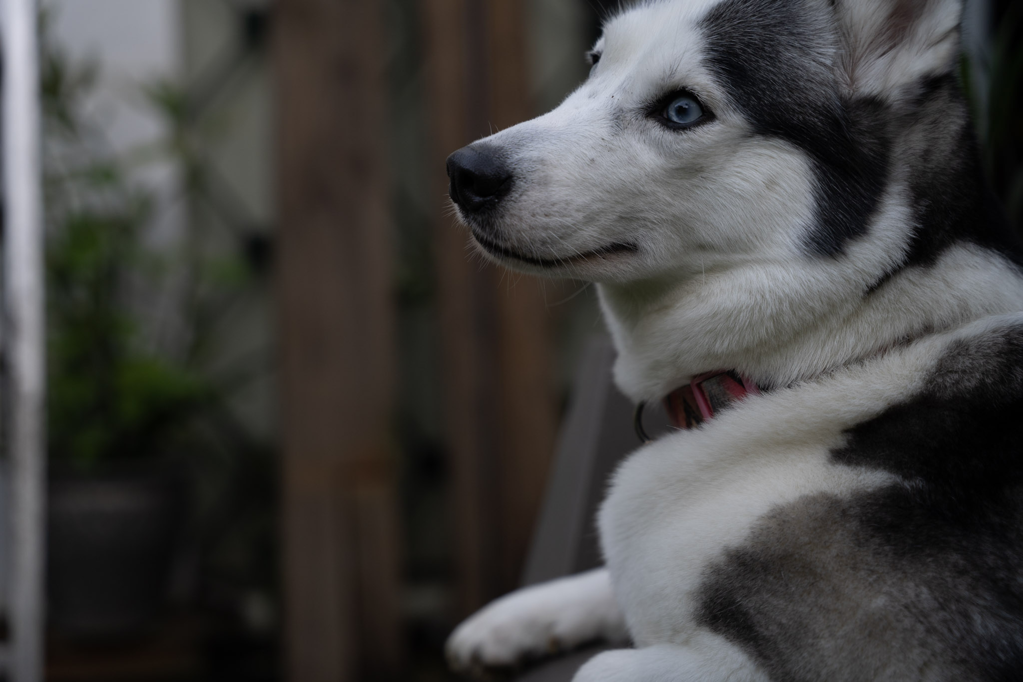 2021-12-22_Guaynabo - foto 61