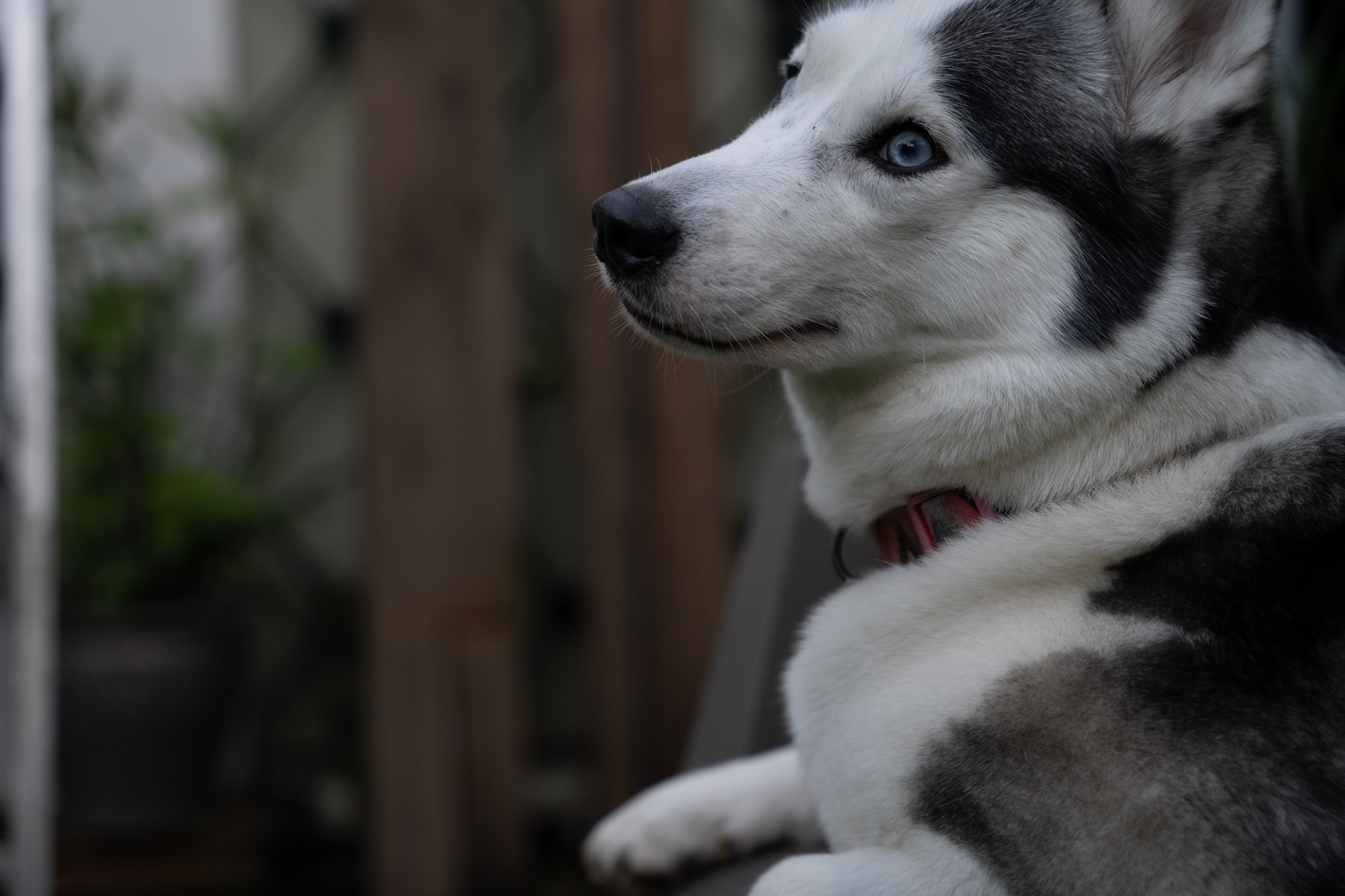 2021-12-22_Guaynabo - foto 62