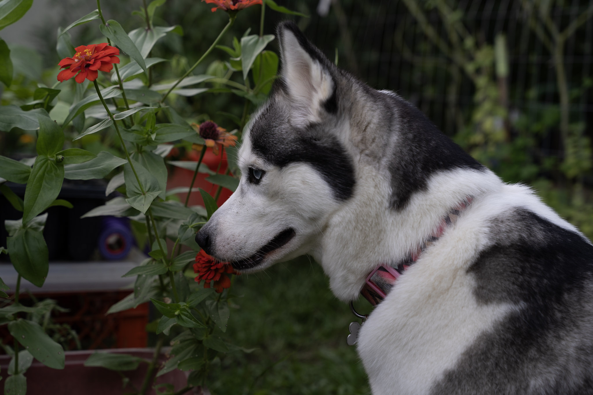 2021-12-22_Guaynabo - foto 65