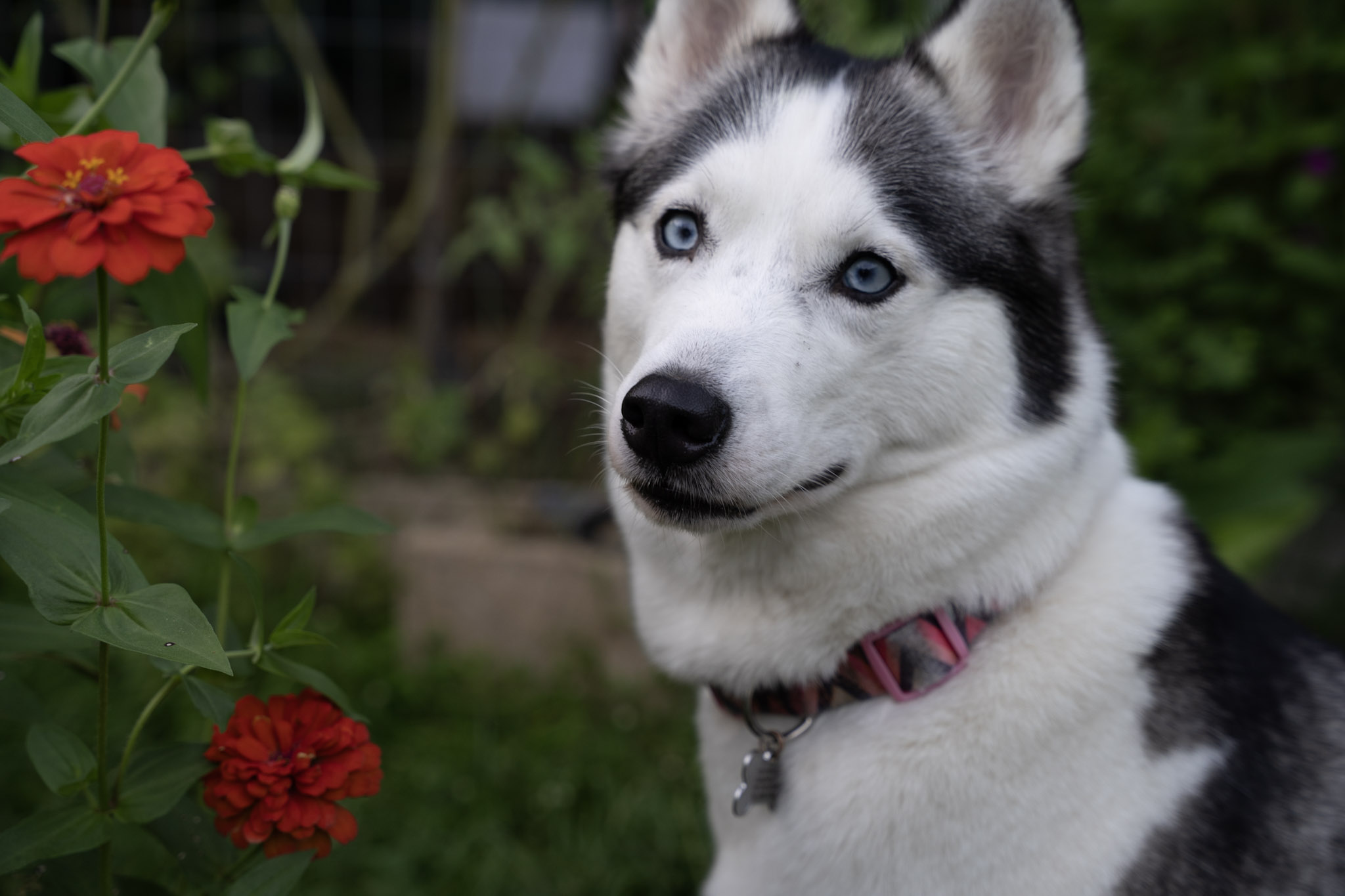 2021-12-22_Guaynabo - foto 66