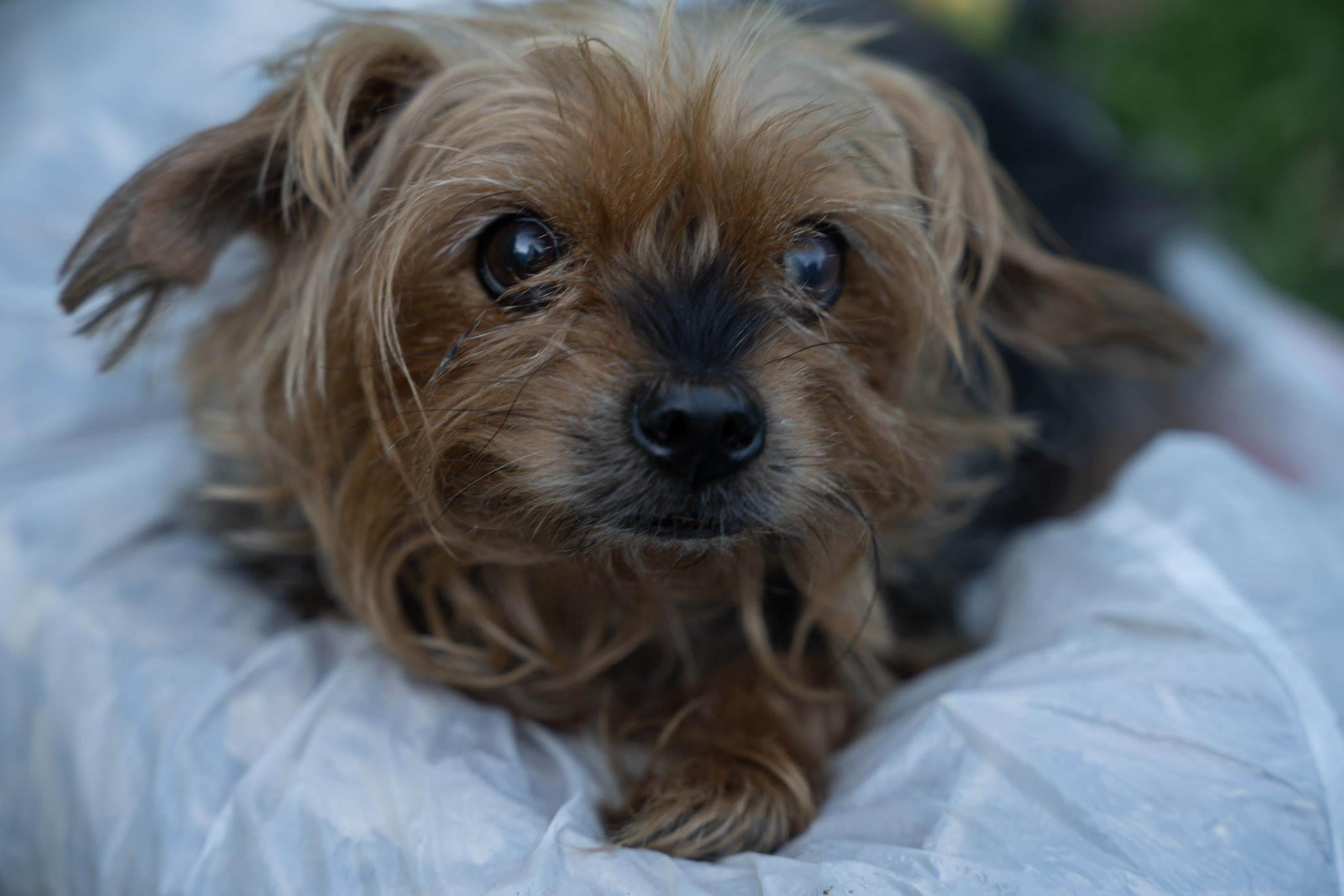 2021-12-22_Guaynabo - foto 68