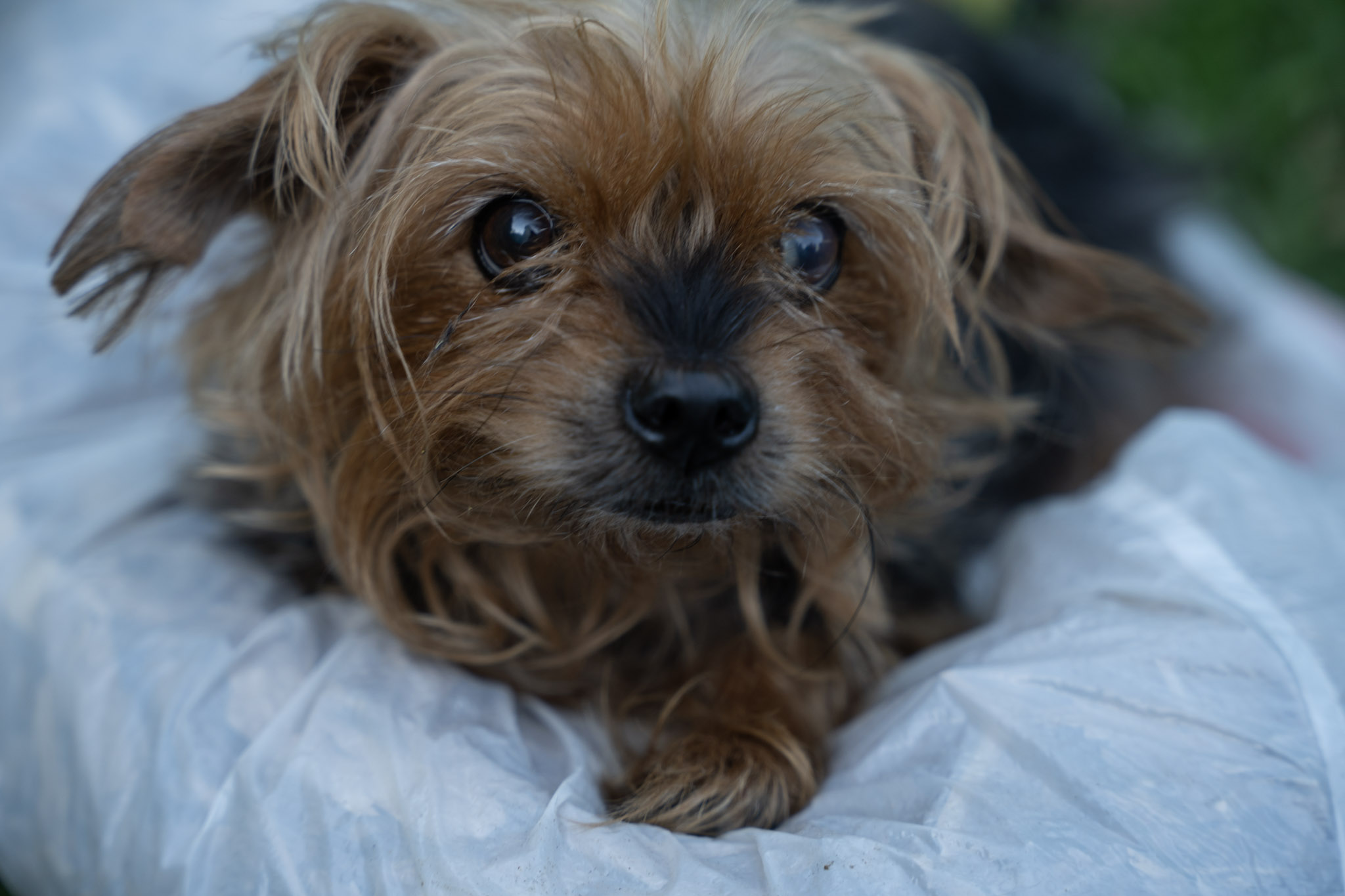 2021-12-22_Guaynabo - foto 69