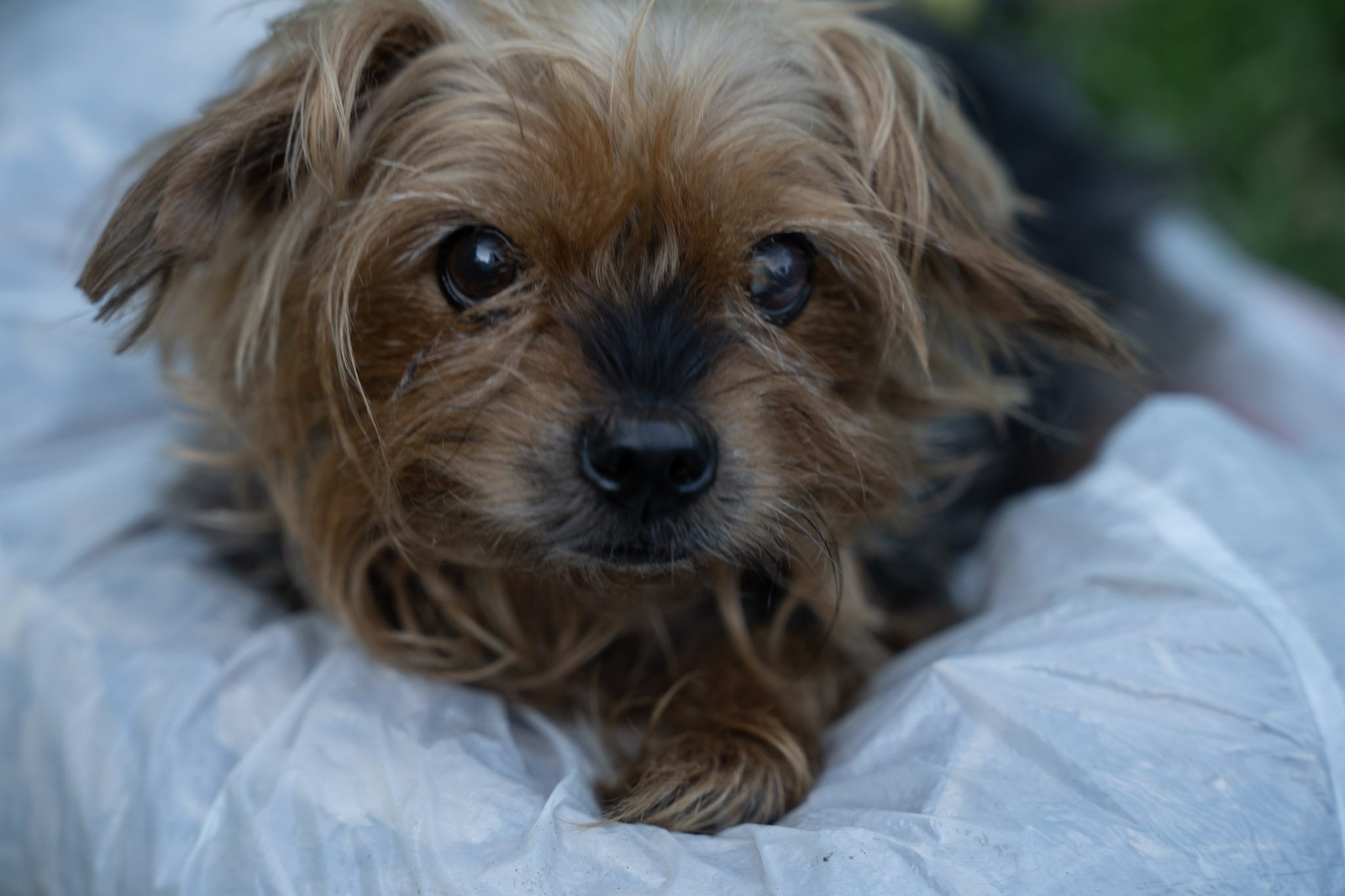 2021-12-22_Guaynabo - foto 70