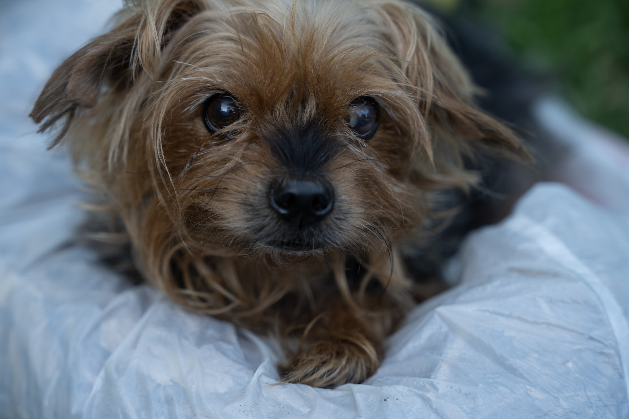 2021-12-22_Guaynabo - foto 71