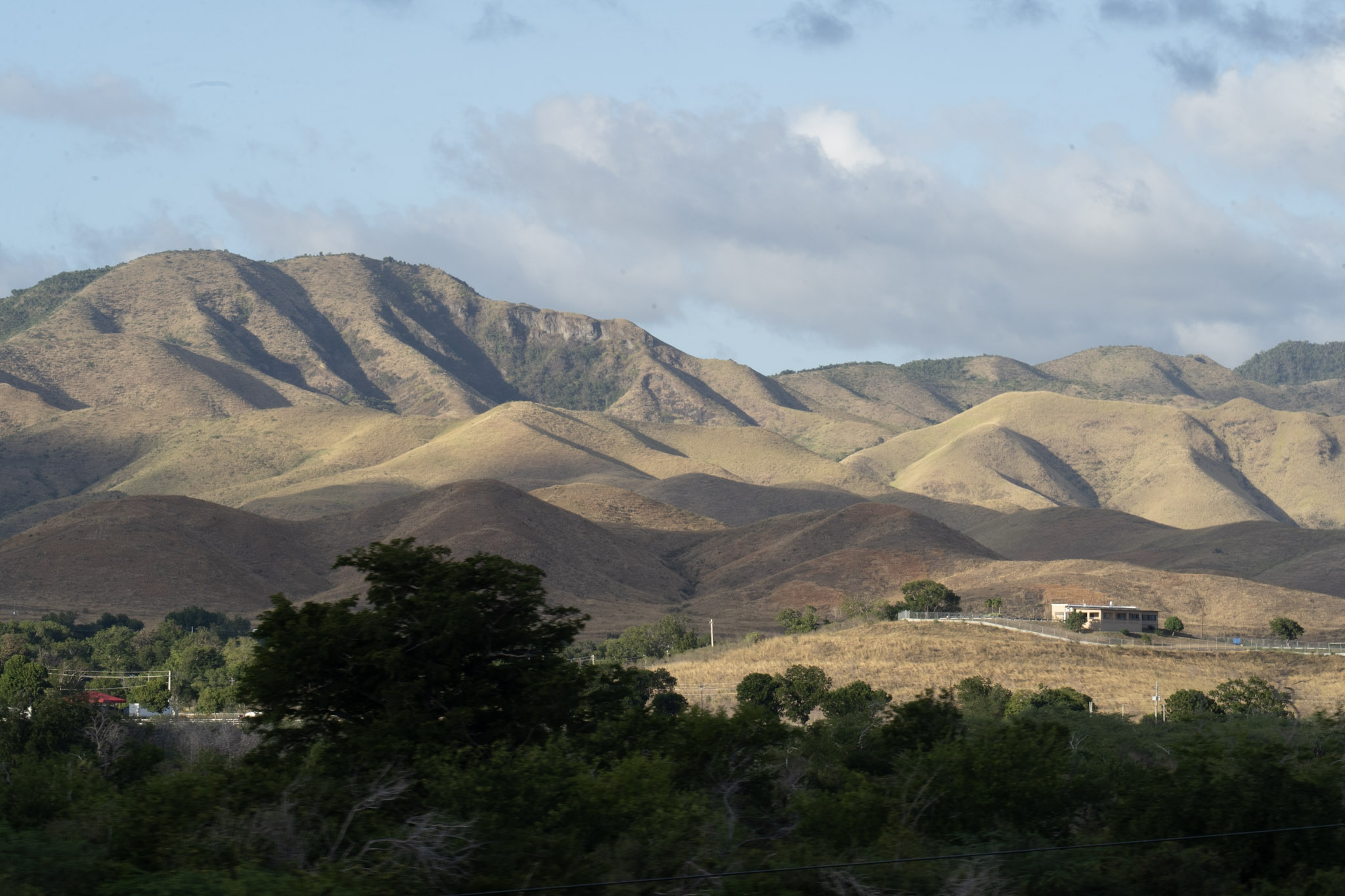 2021-12-29_Cayey - foto 187