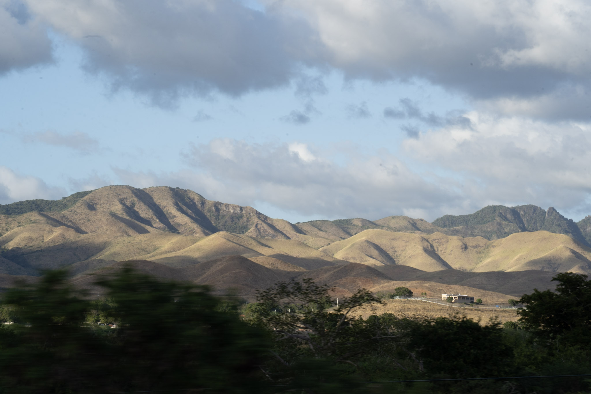 2021-12-29_Cayey - foto 191