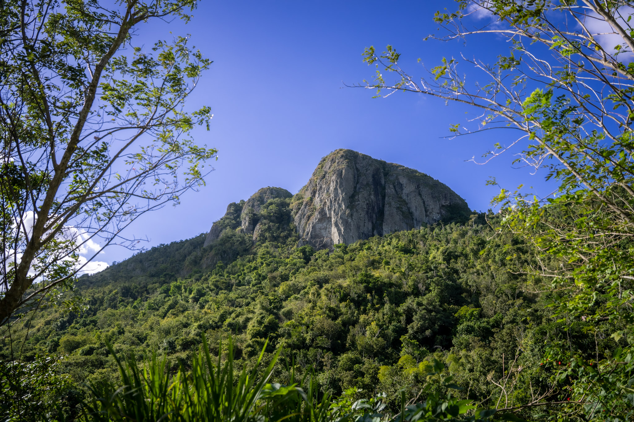 Cayey