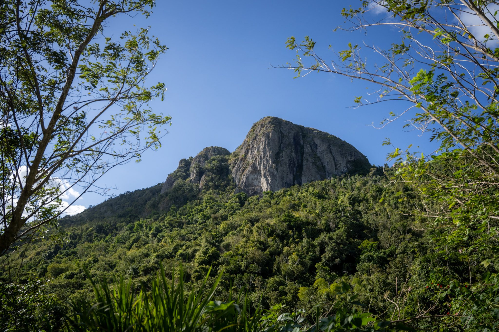 Cayey - foto 2