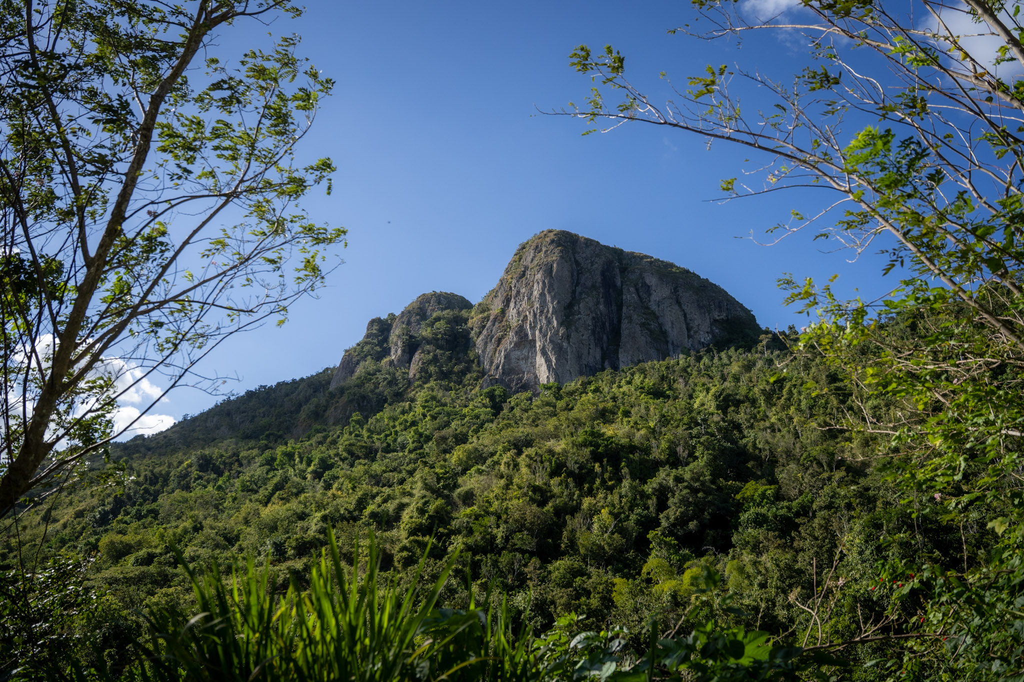 Cayey - foto 3