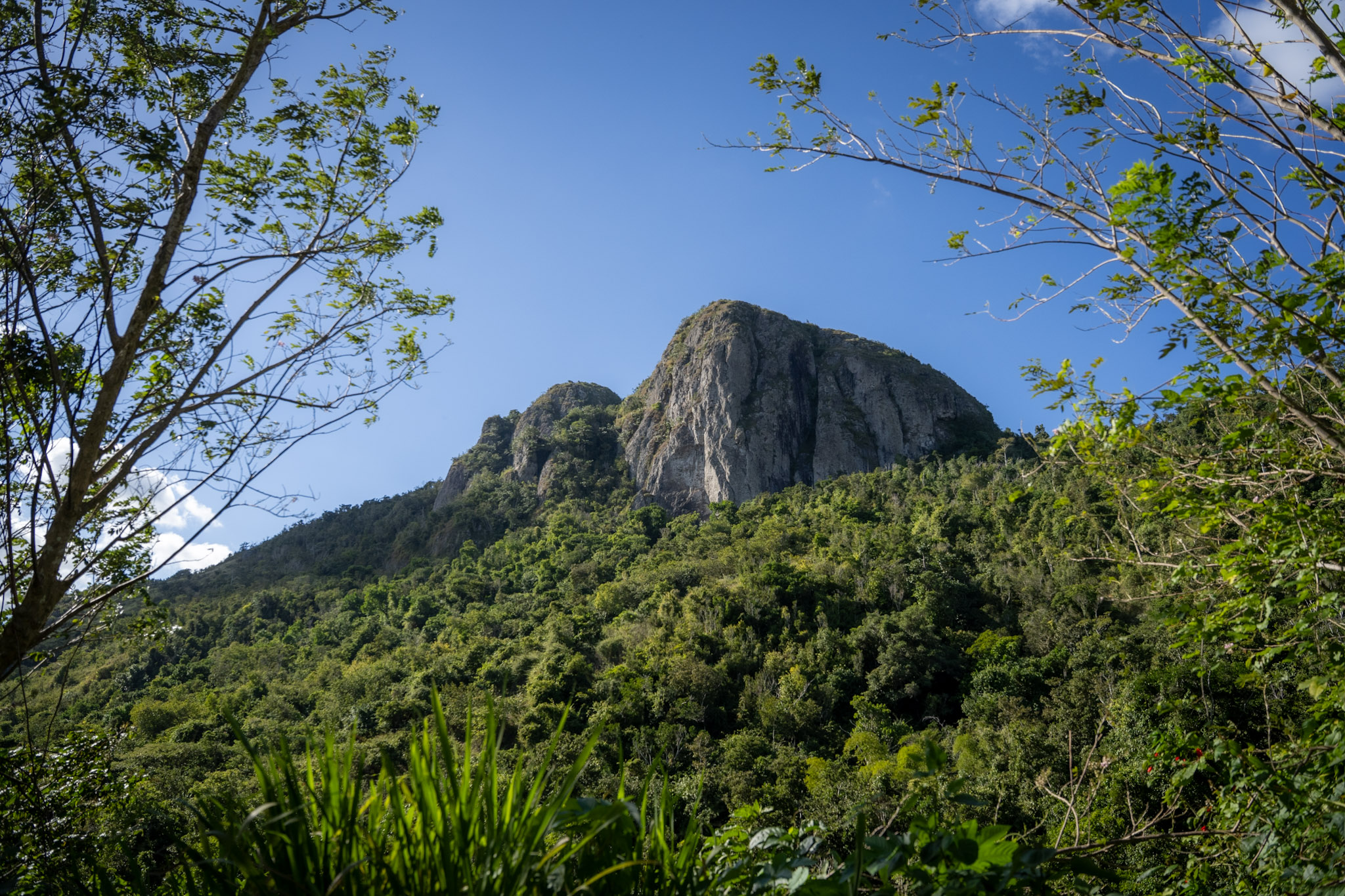 Cayey - foto 4