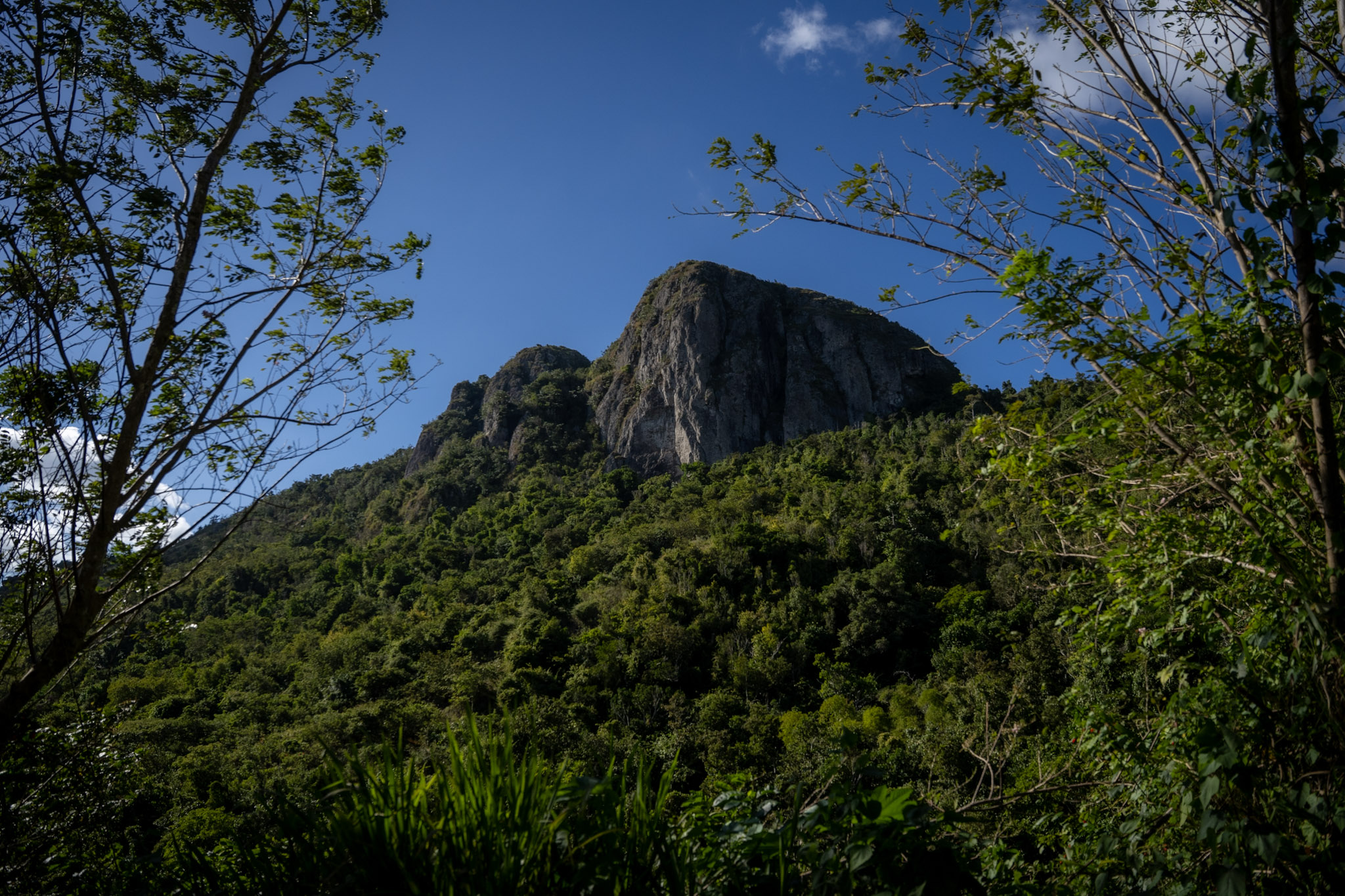 Cayey - foto 5