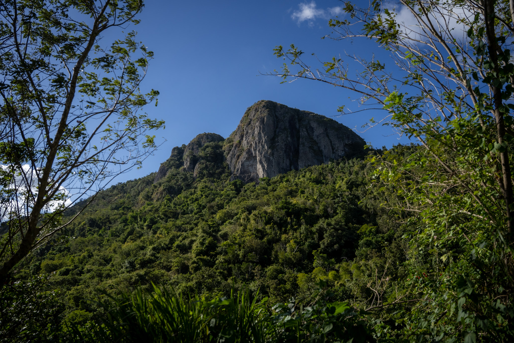 Cayey - foto 6