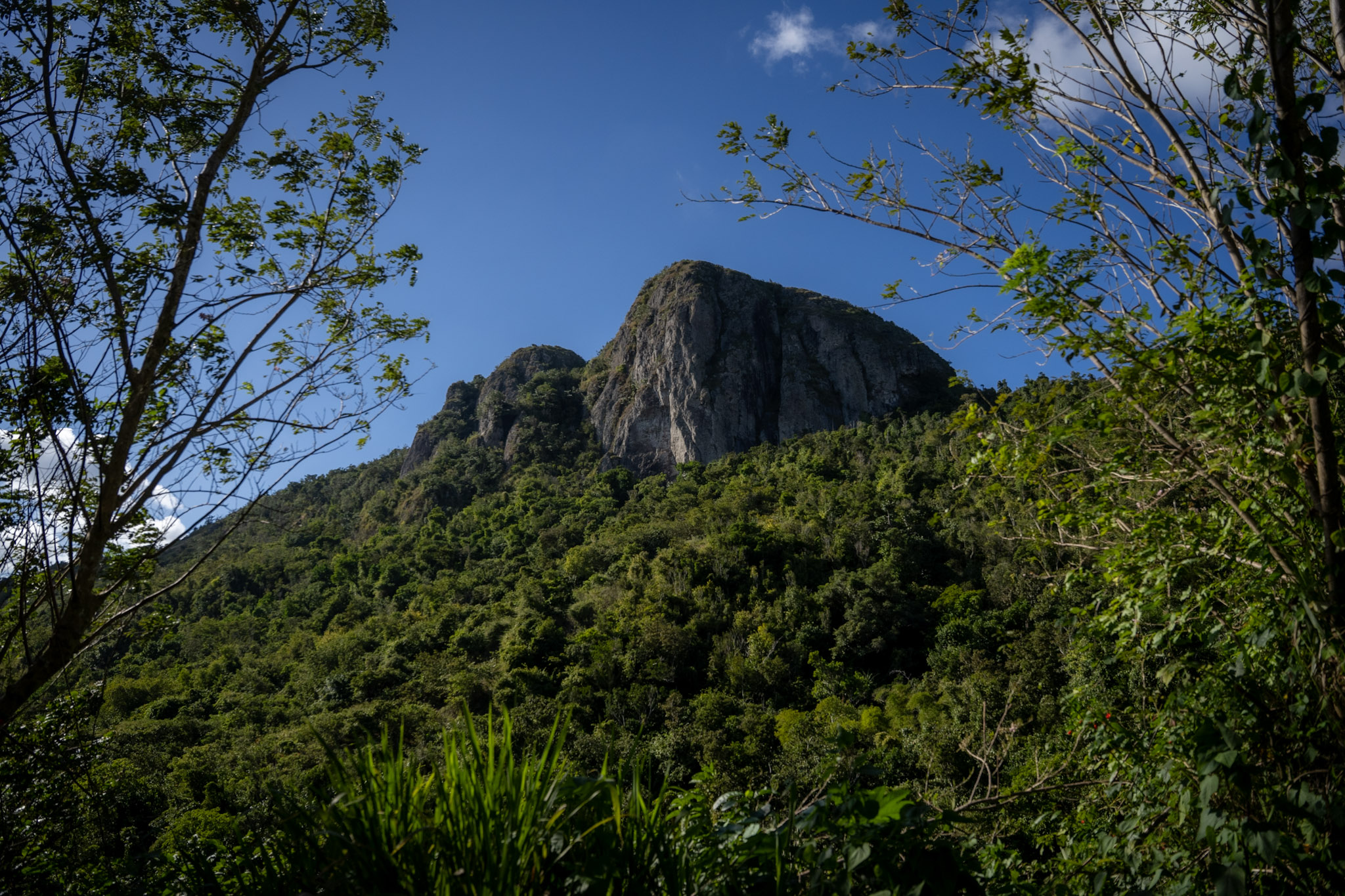 Cayey - foto 8