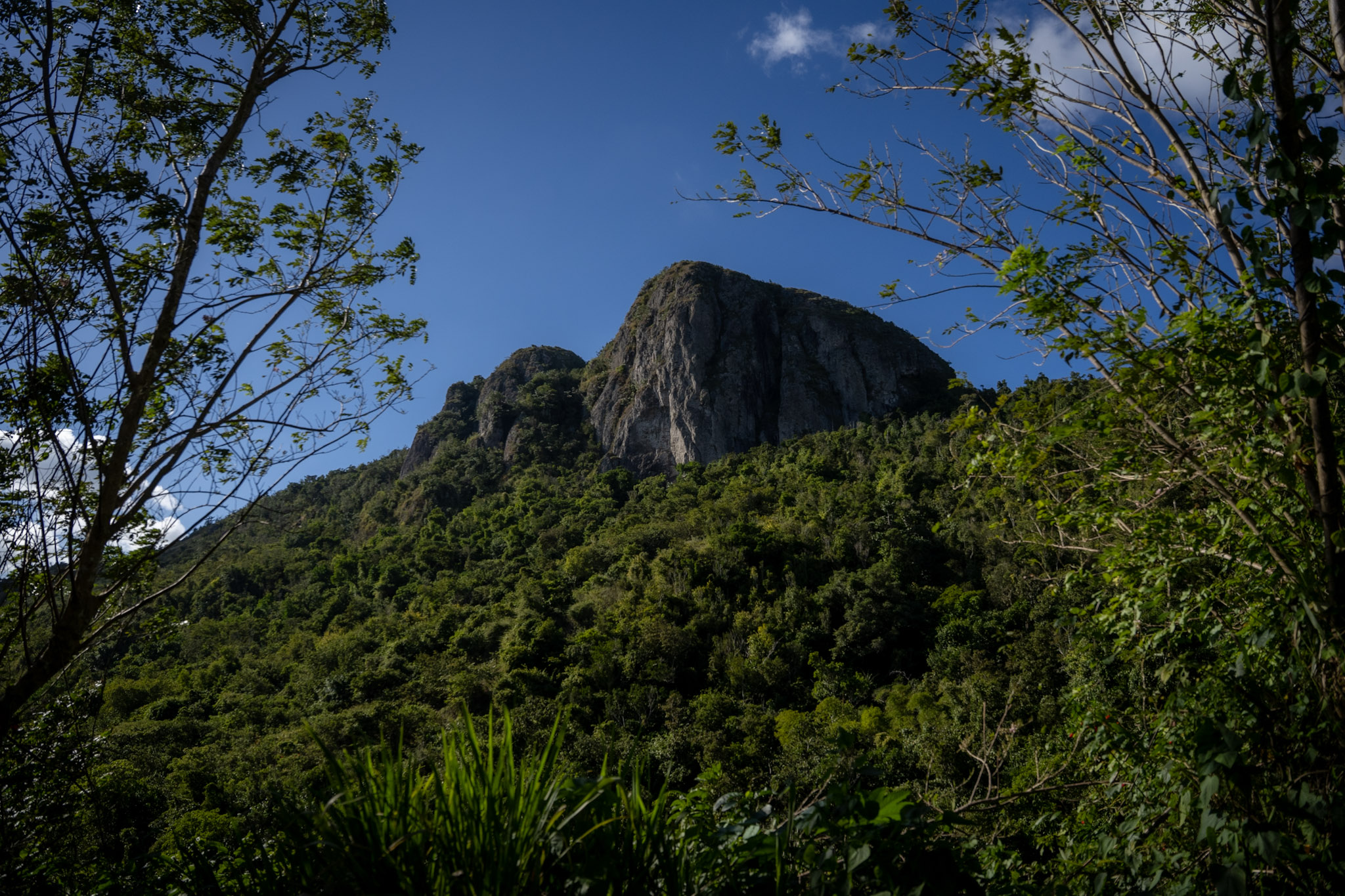 Cayey - foto 9