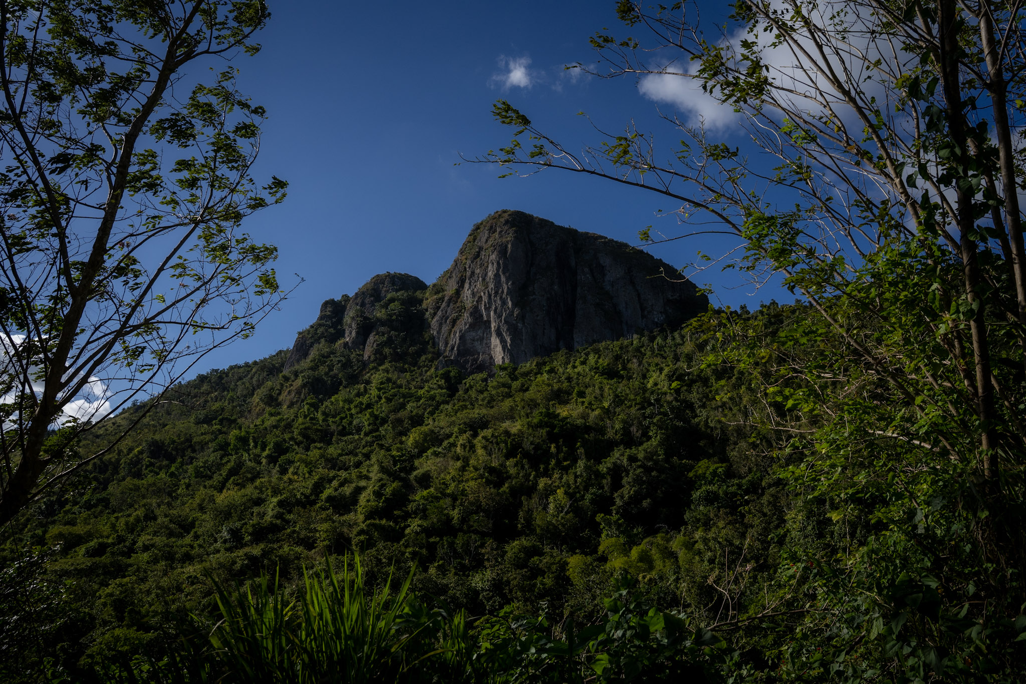 Cayey - foto 10