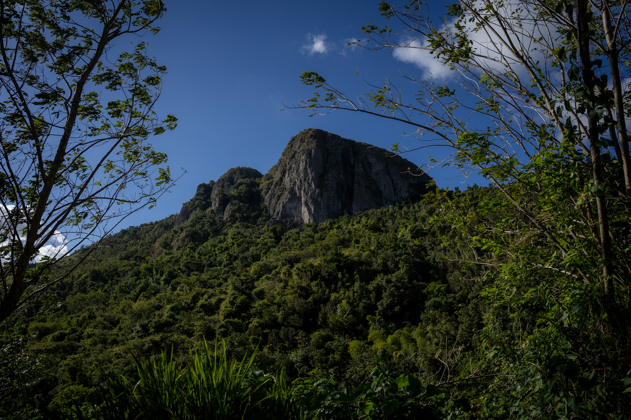 Cayey - foto 11