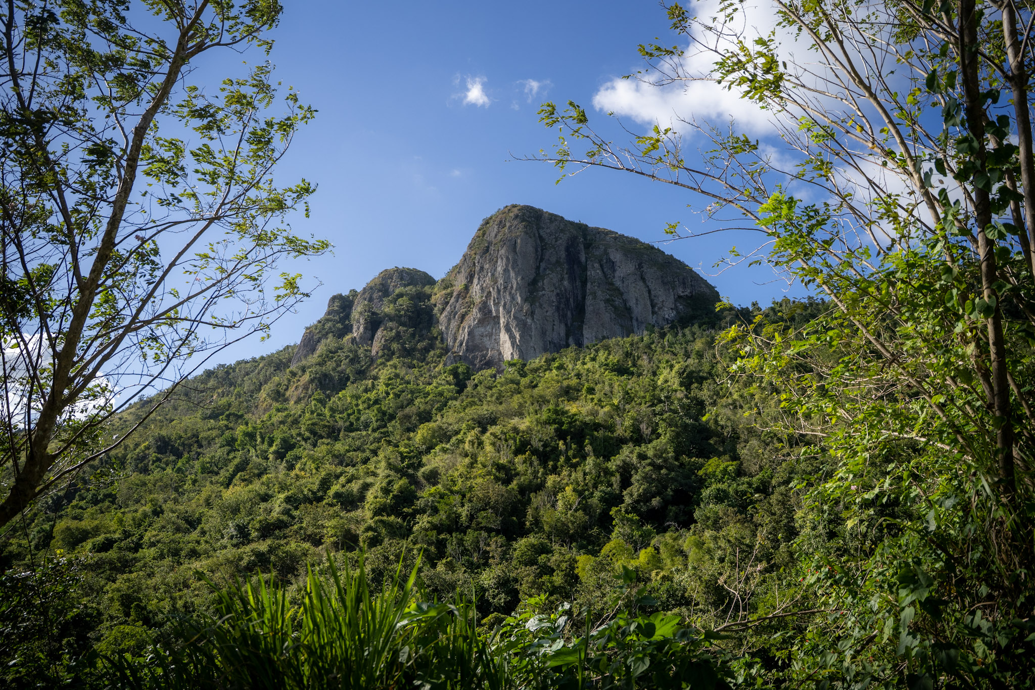 Cayey - foto 12