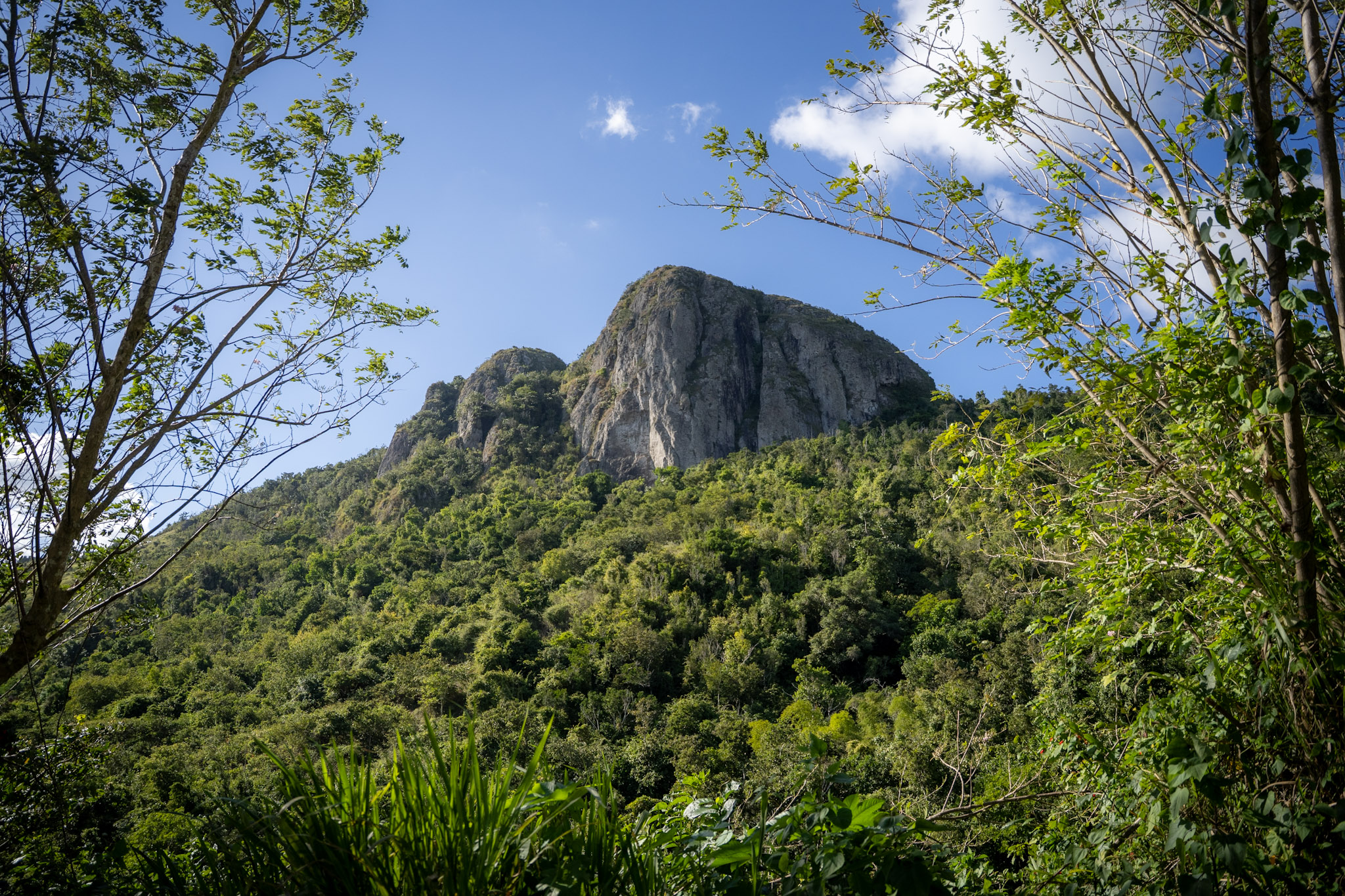Cayey - foto 13