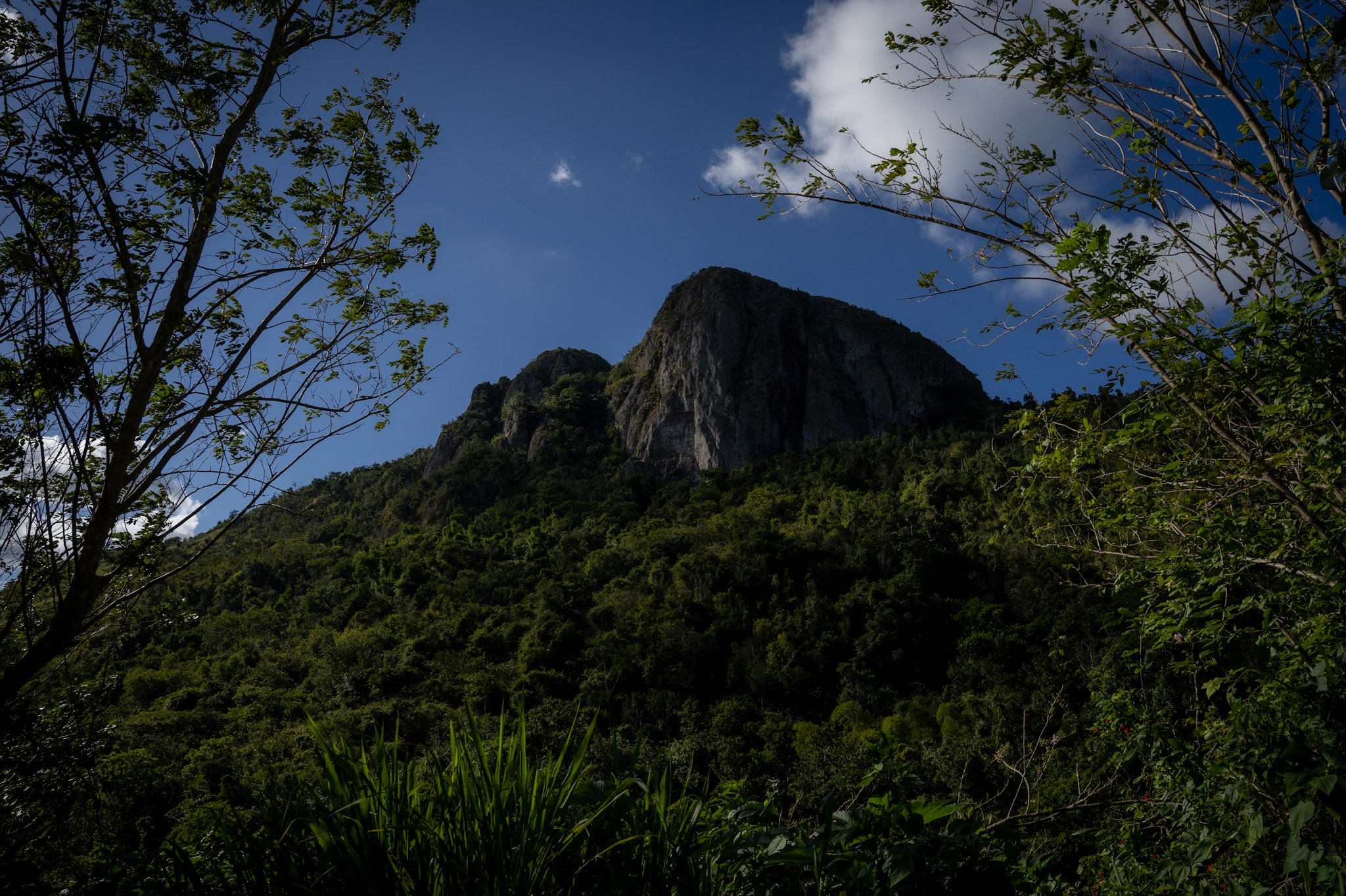 Cayey - foto 14