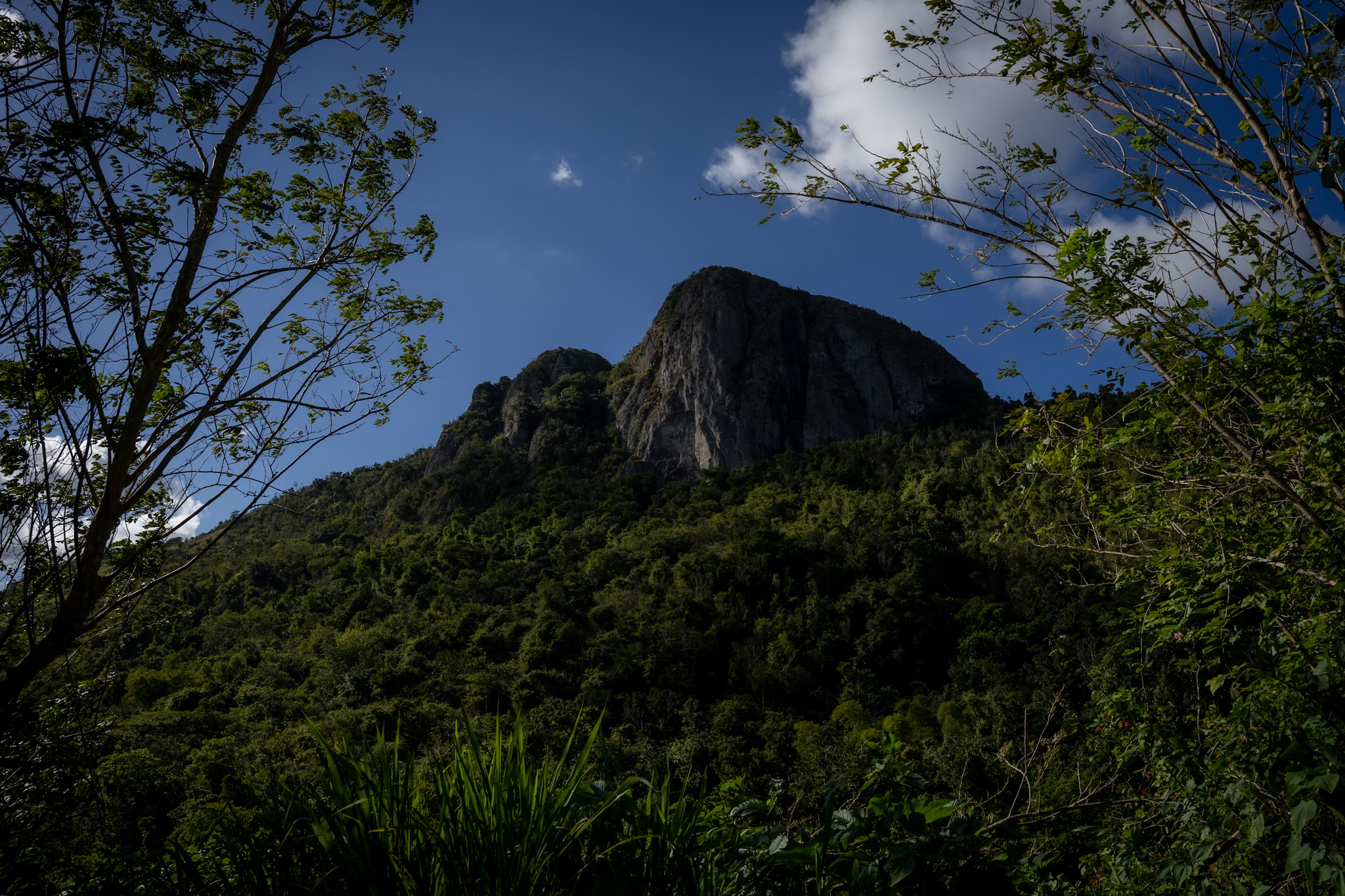 Cayey - foto 15