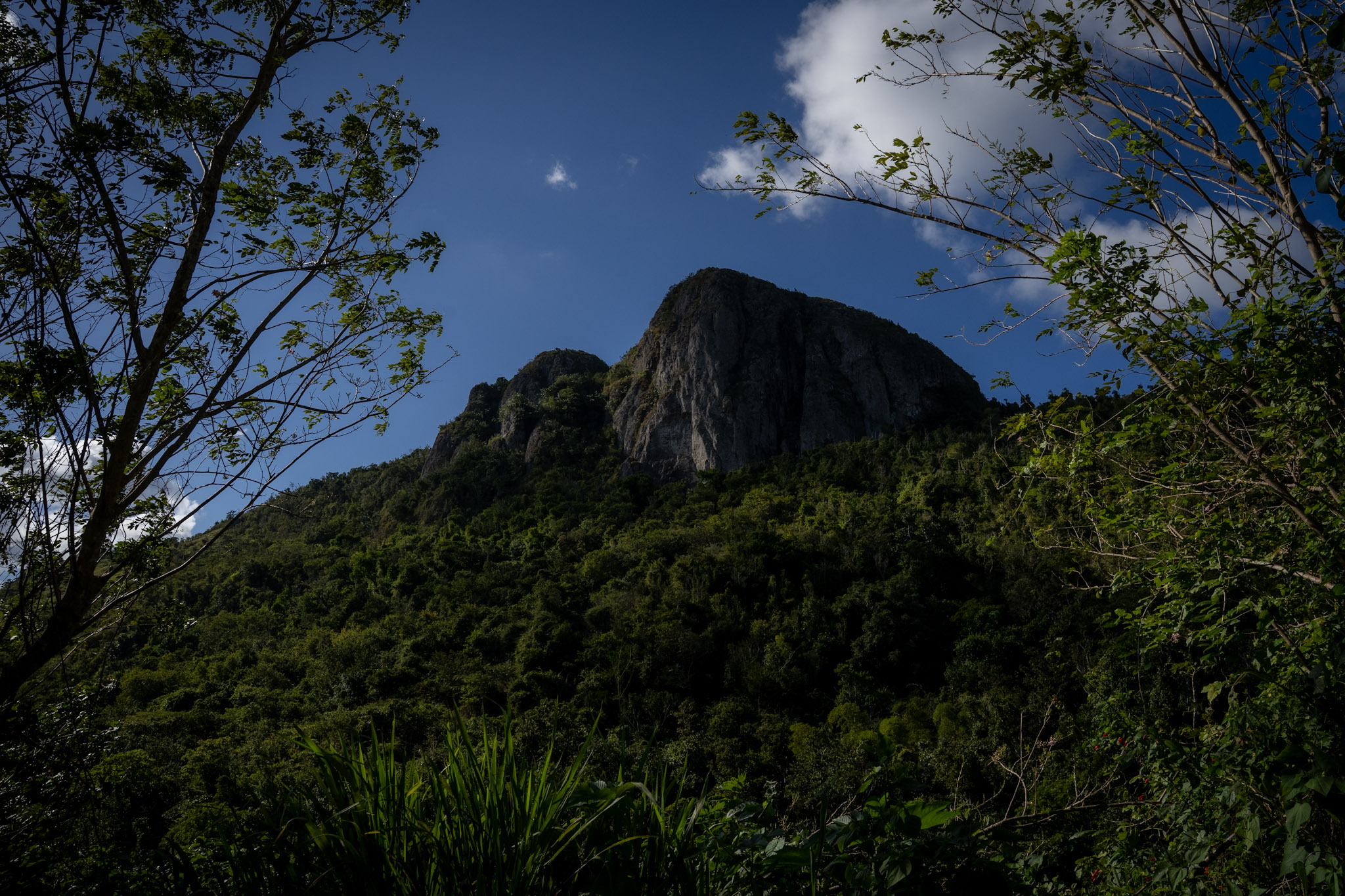 Cayey - foto 17