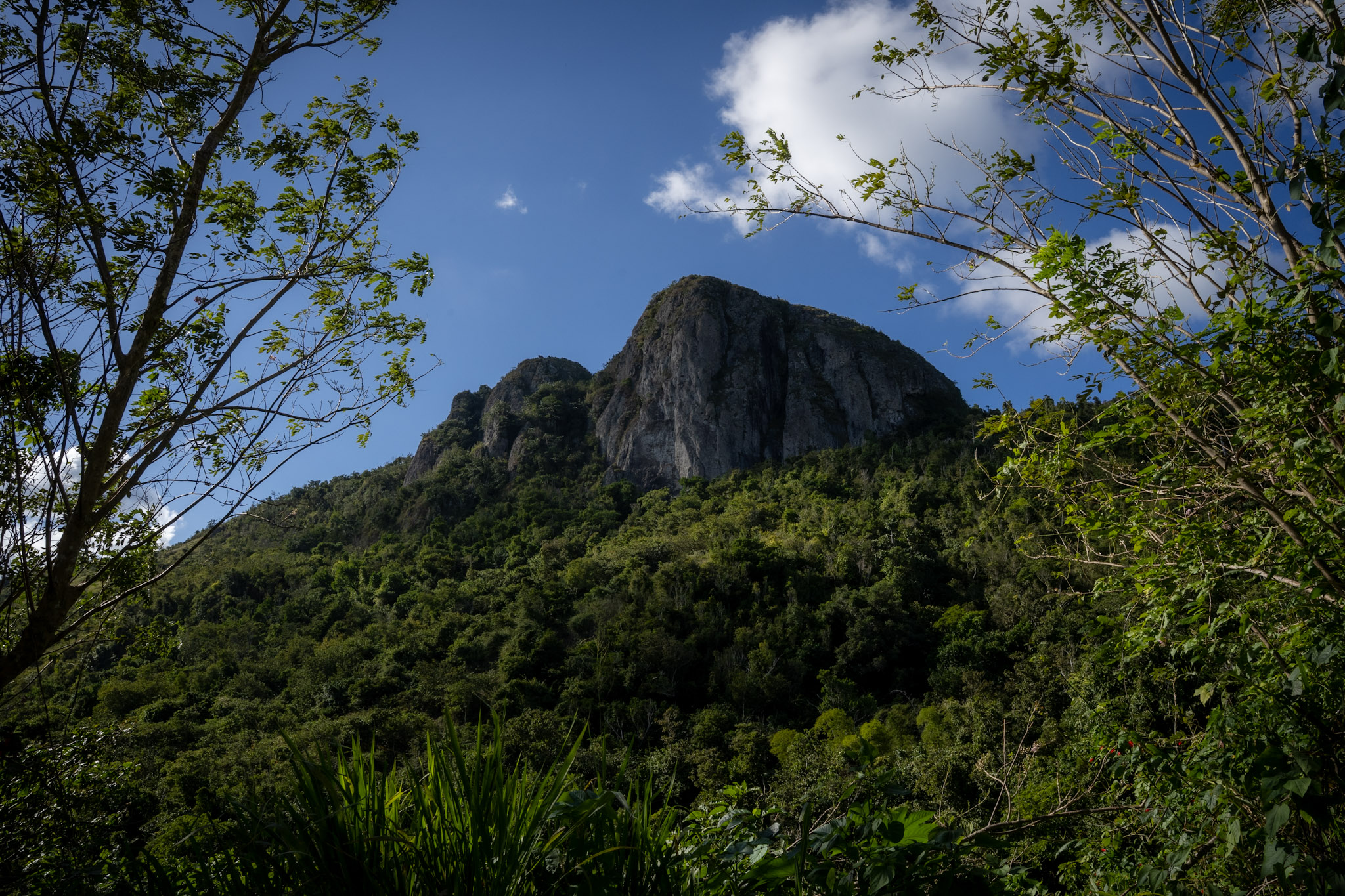 Cayey - foto 18