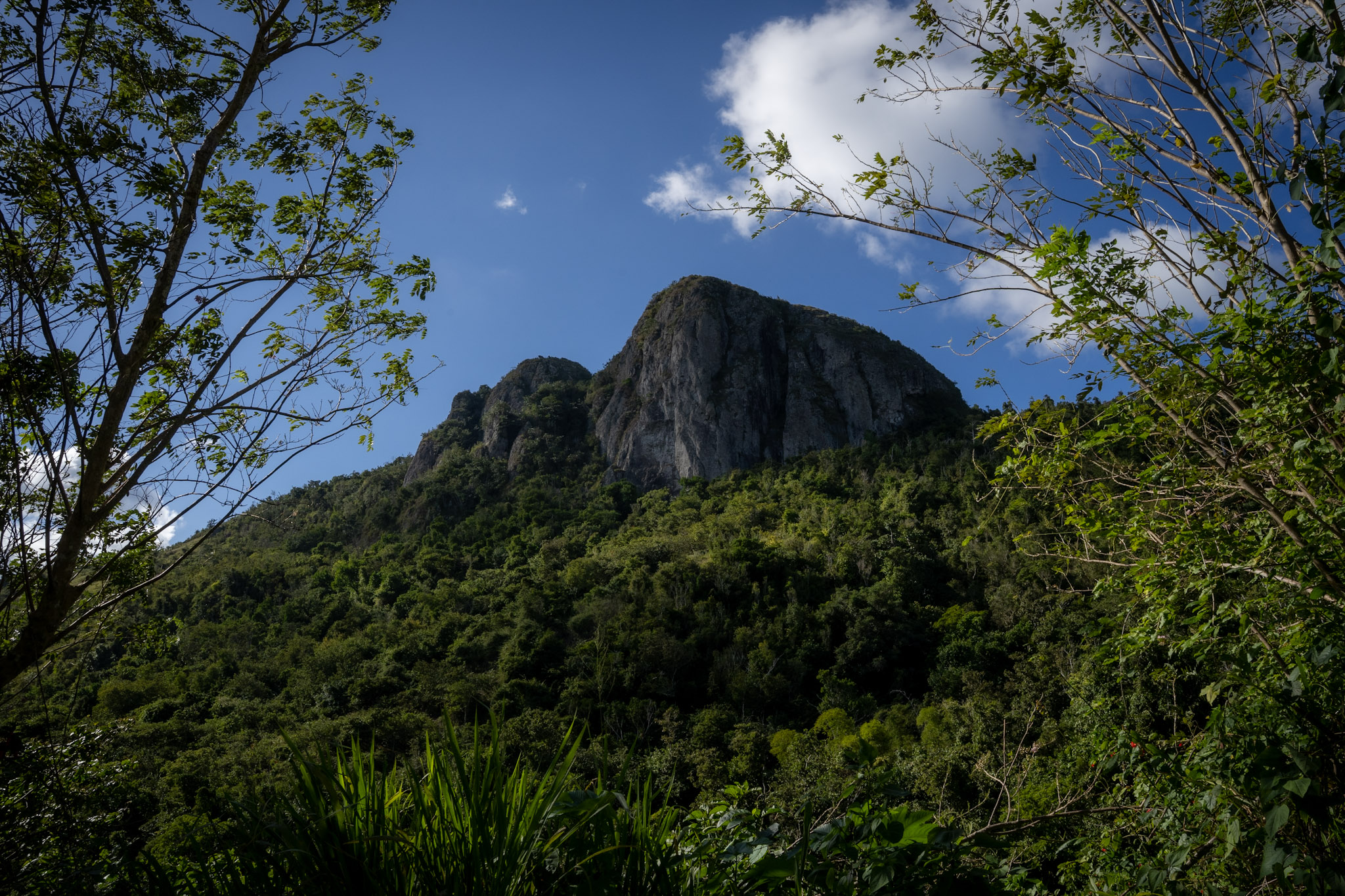 Cayey - foto 19
