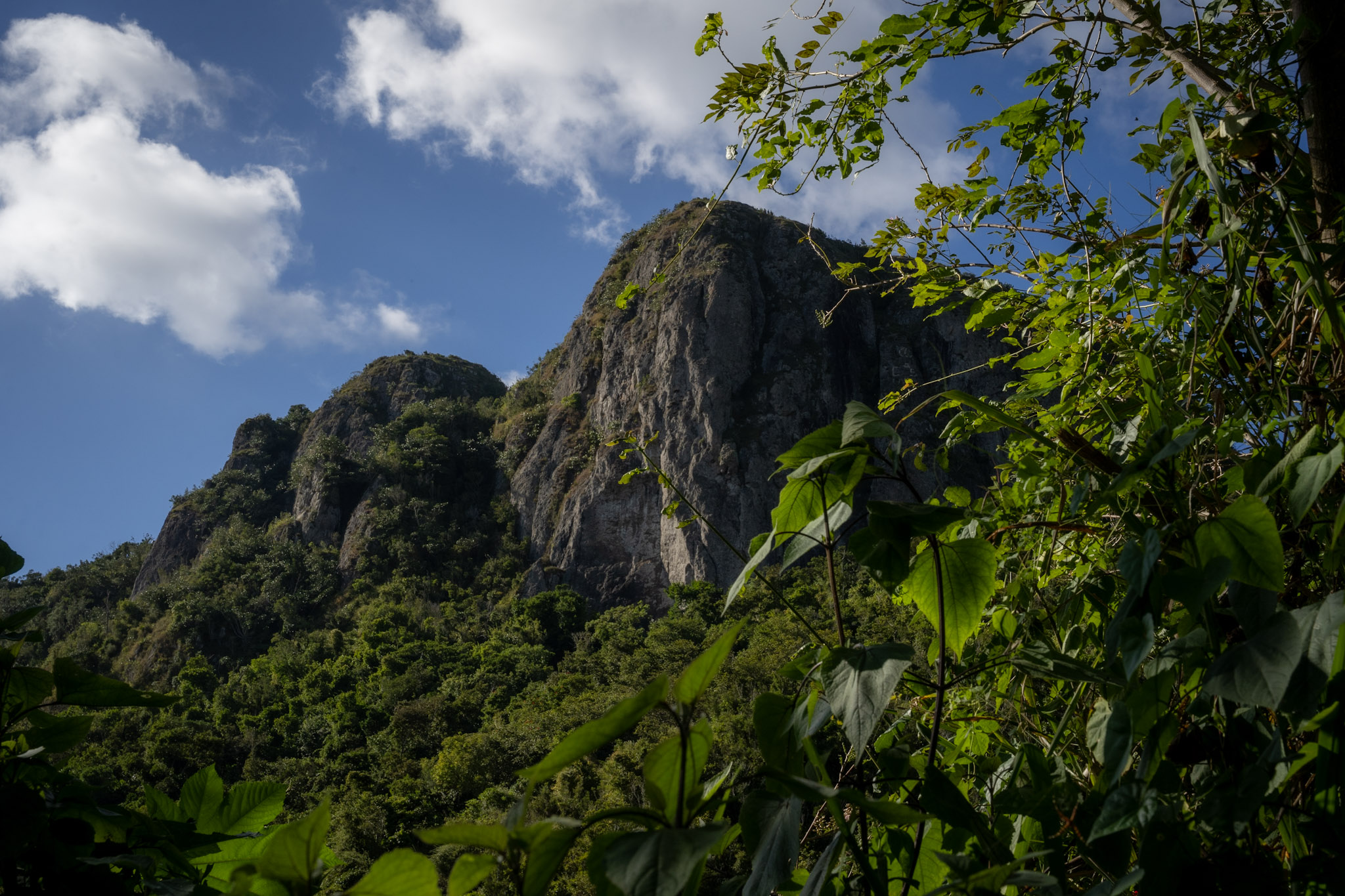 Cayey - foto 20