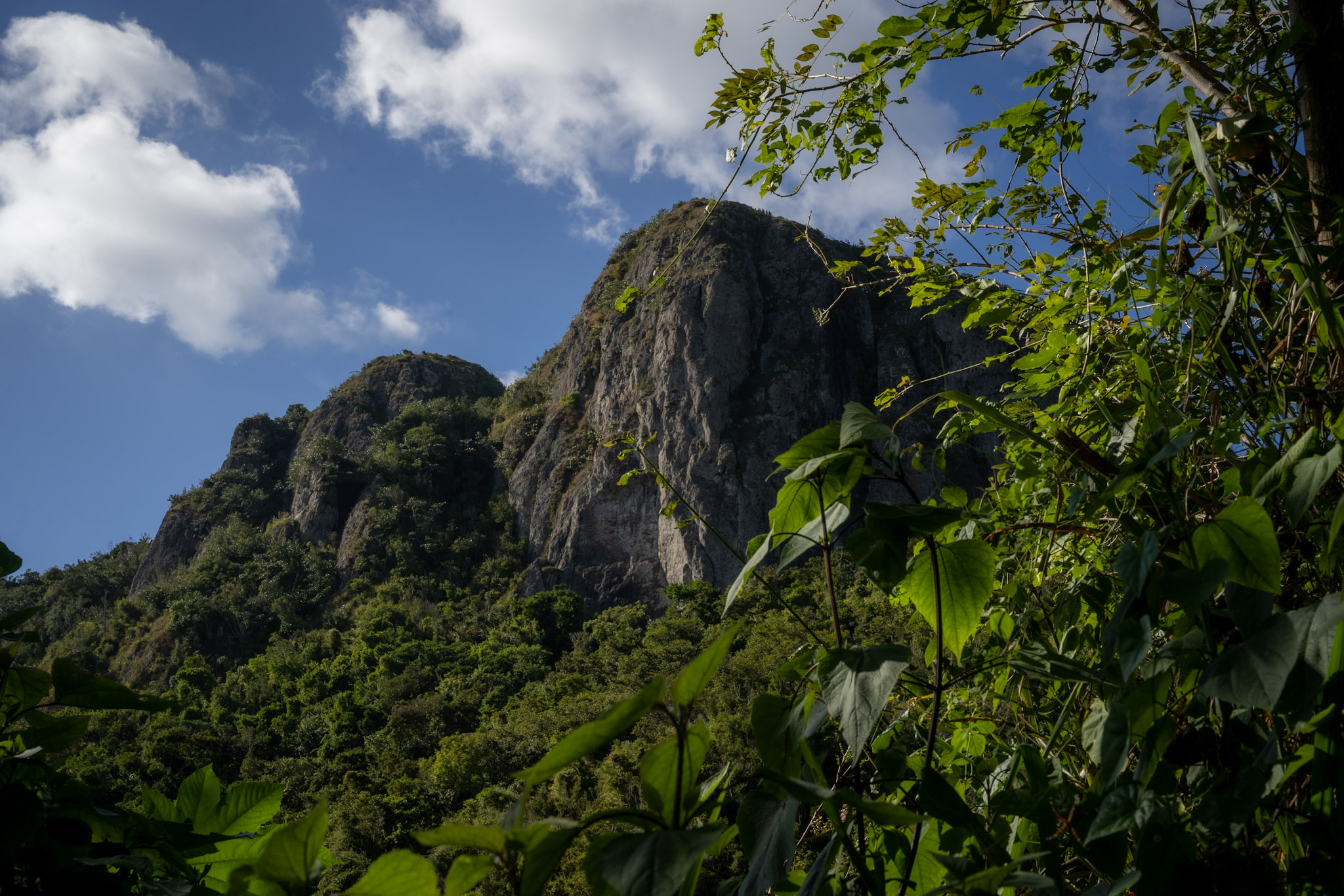 Cayey - foto 21