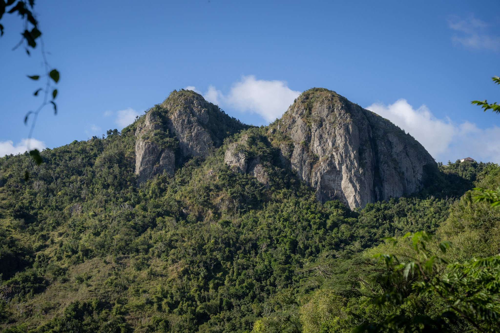 Cayey - foto 29