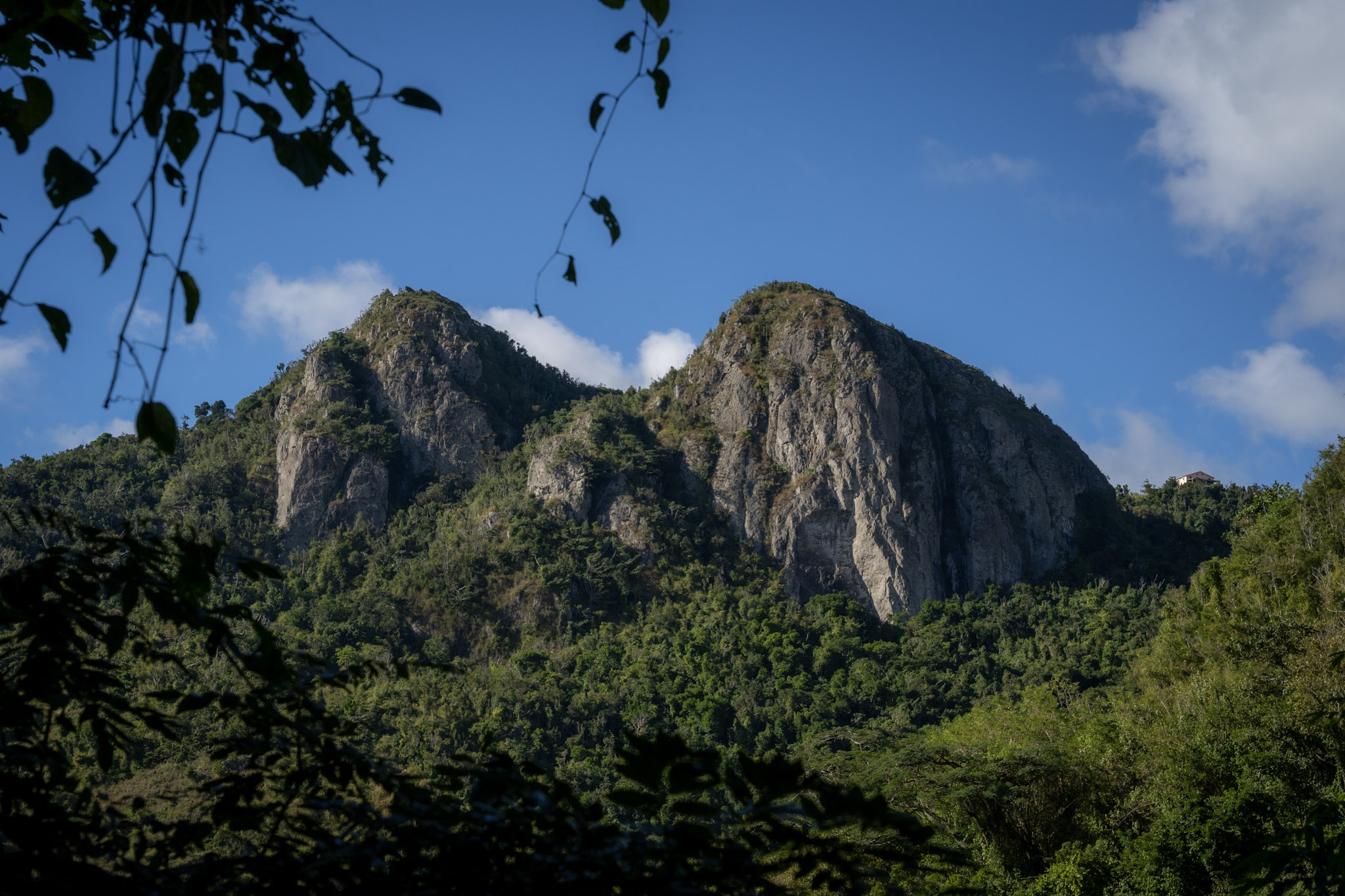 Cayey - foto 31