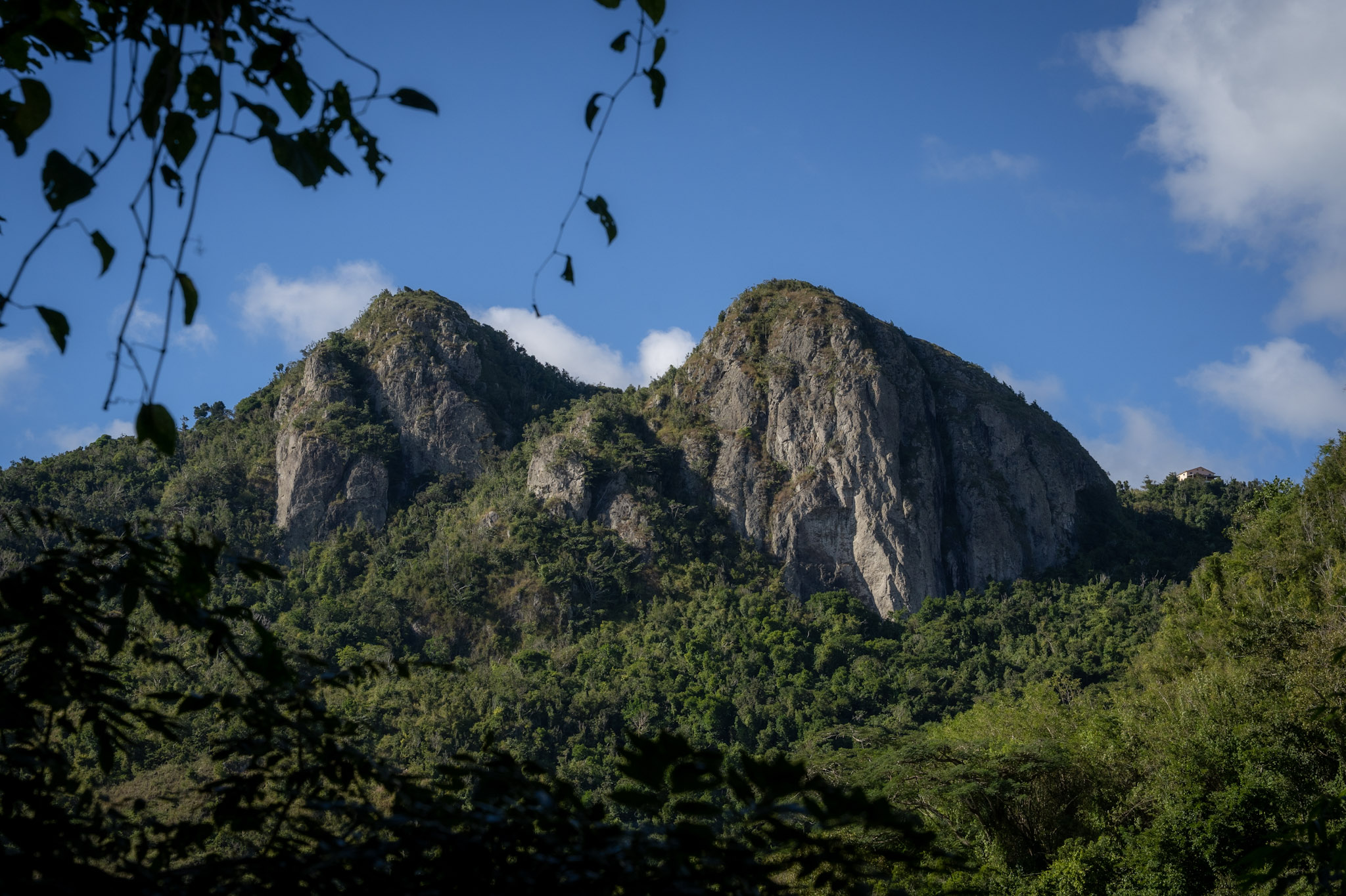Cayey - foto 32