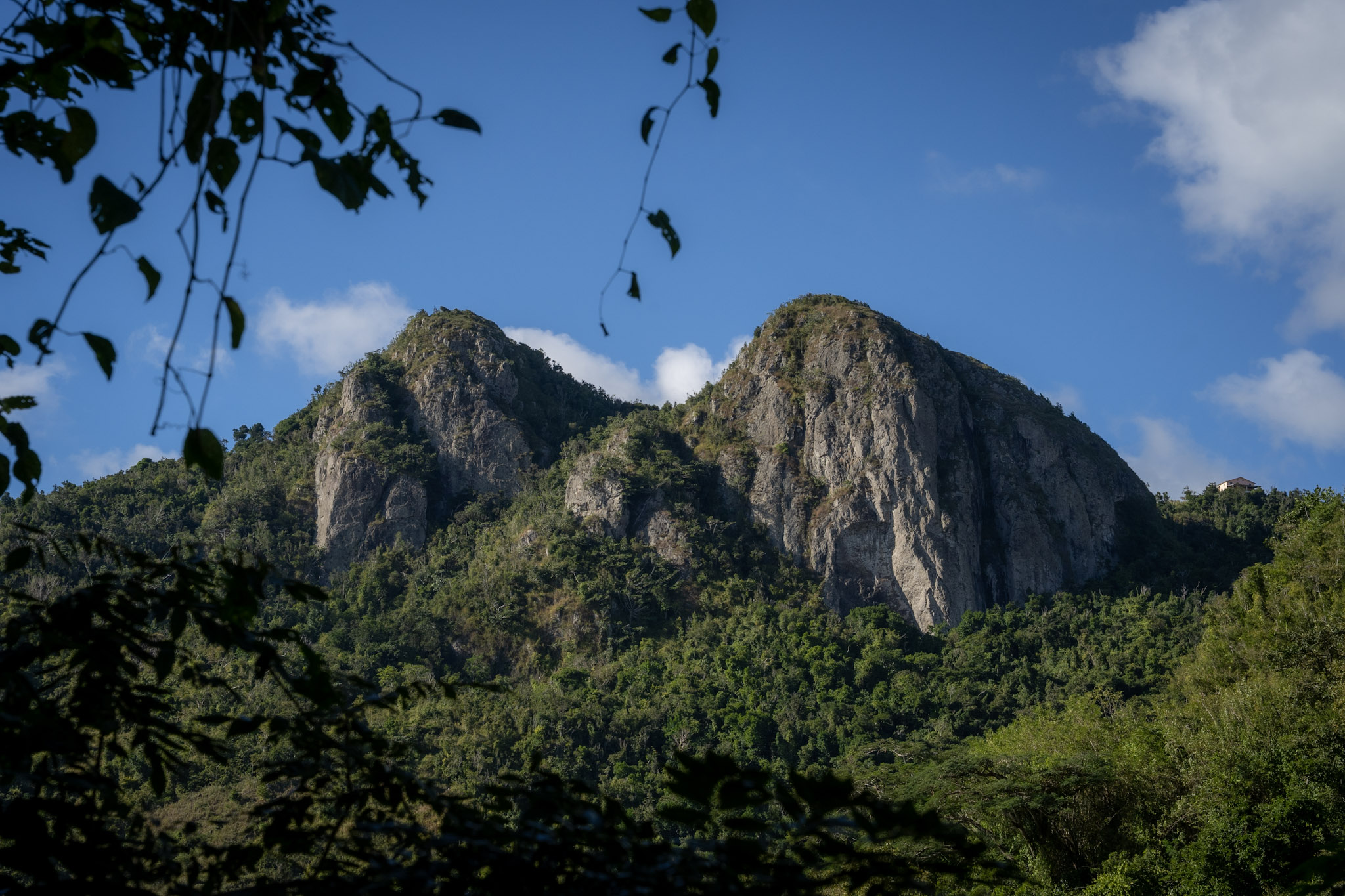 Cayey - foto 33