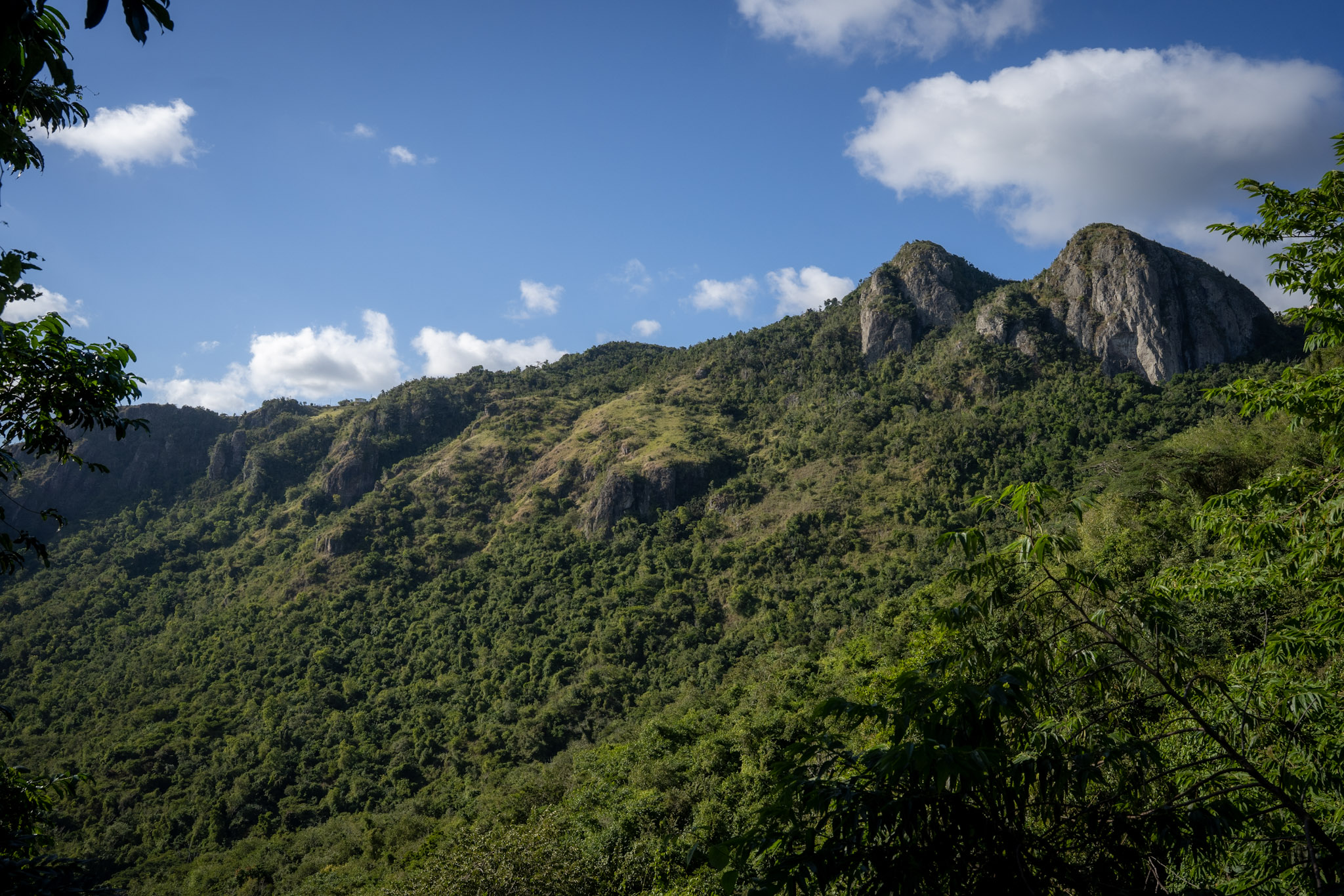 Cayey - foto 34