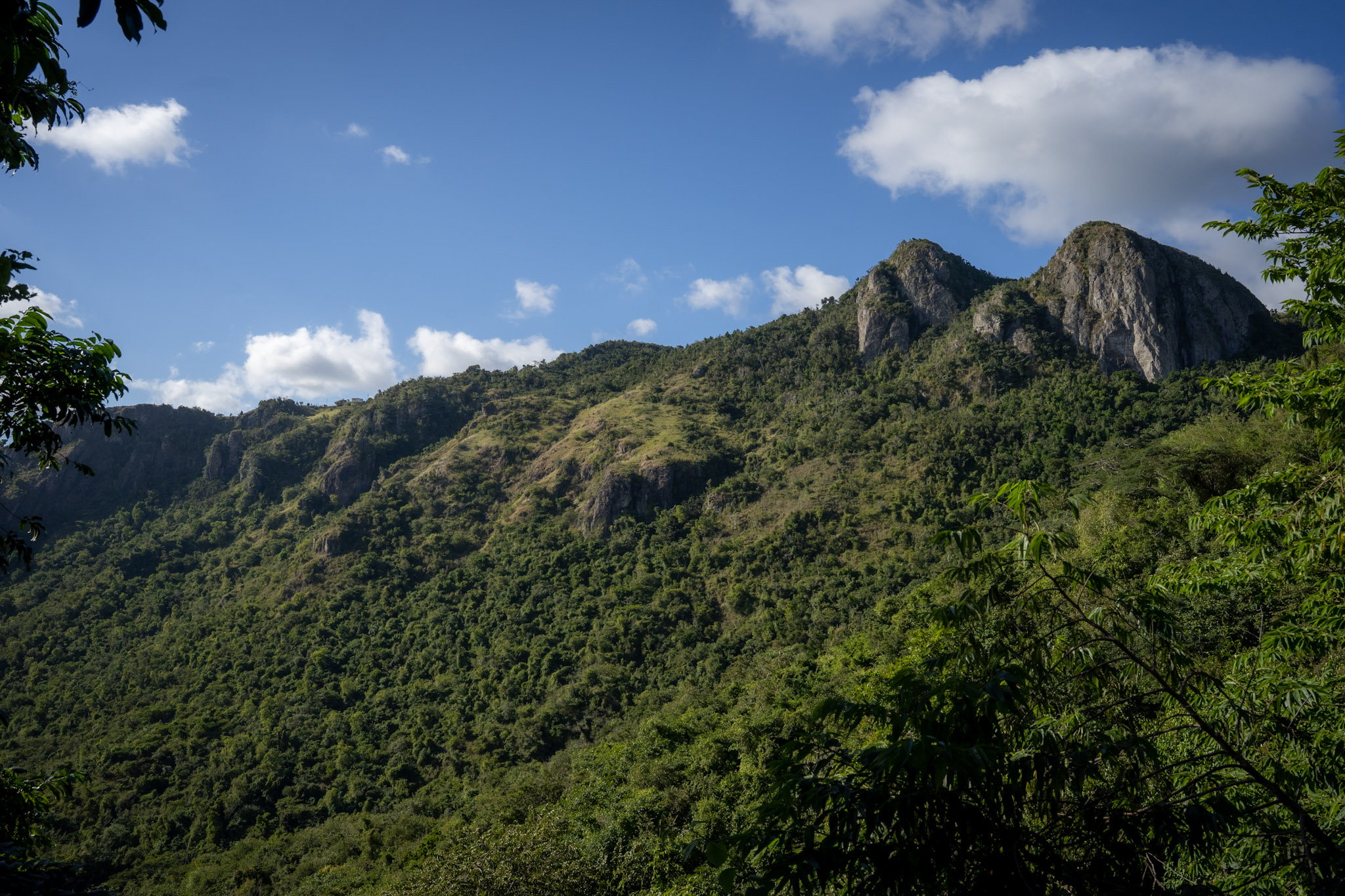 Cayey - foto 35