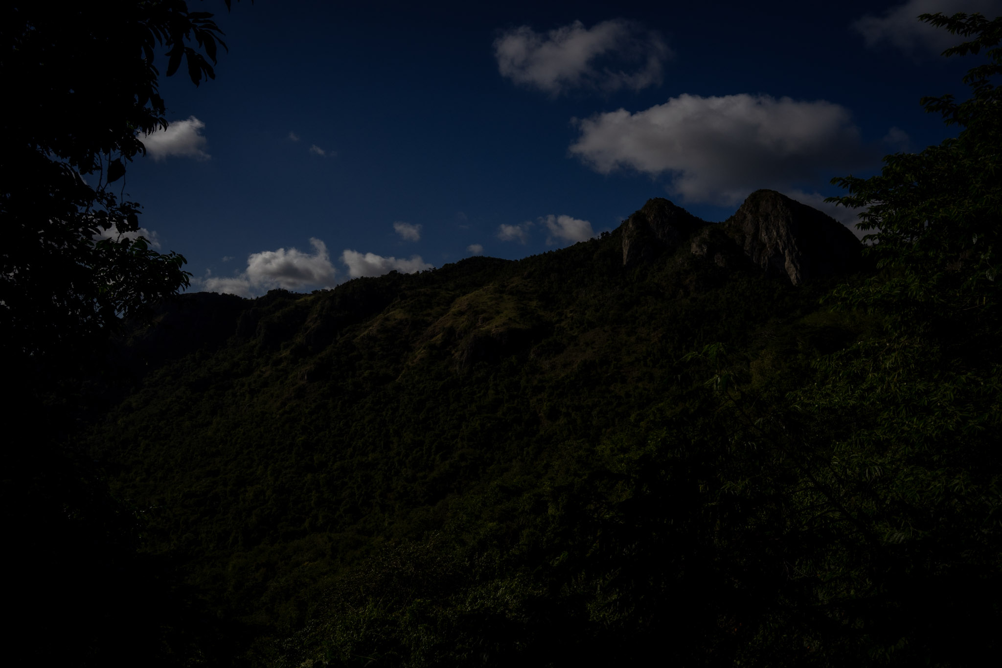 Cayey - foto 36