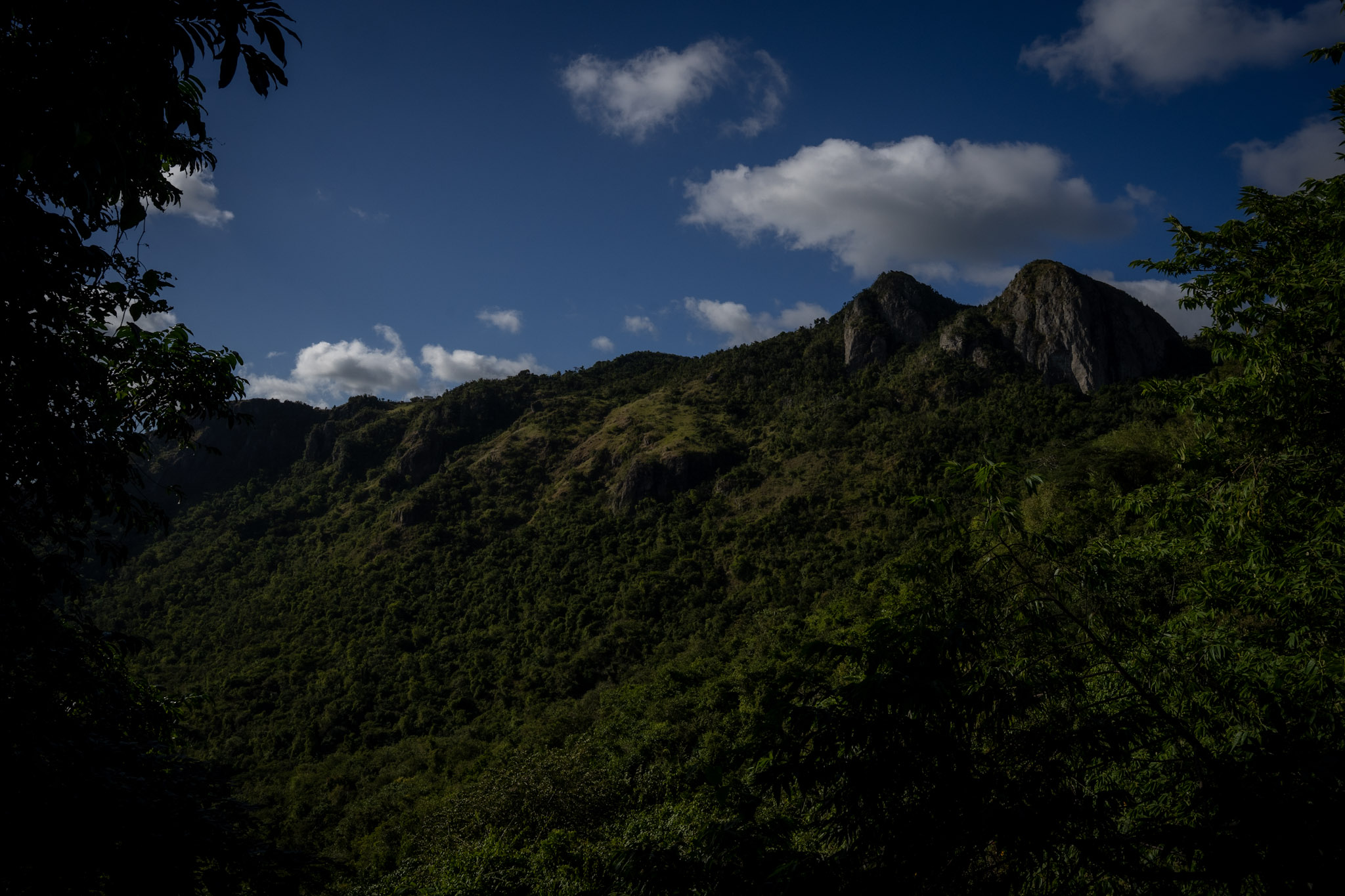 Cayey - foto 37