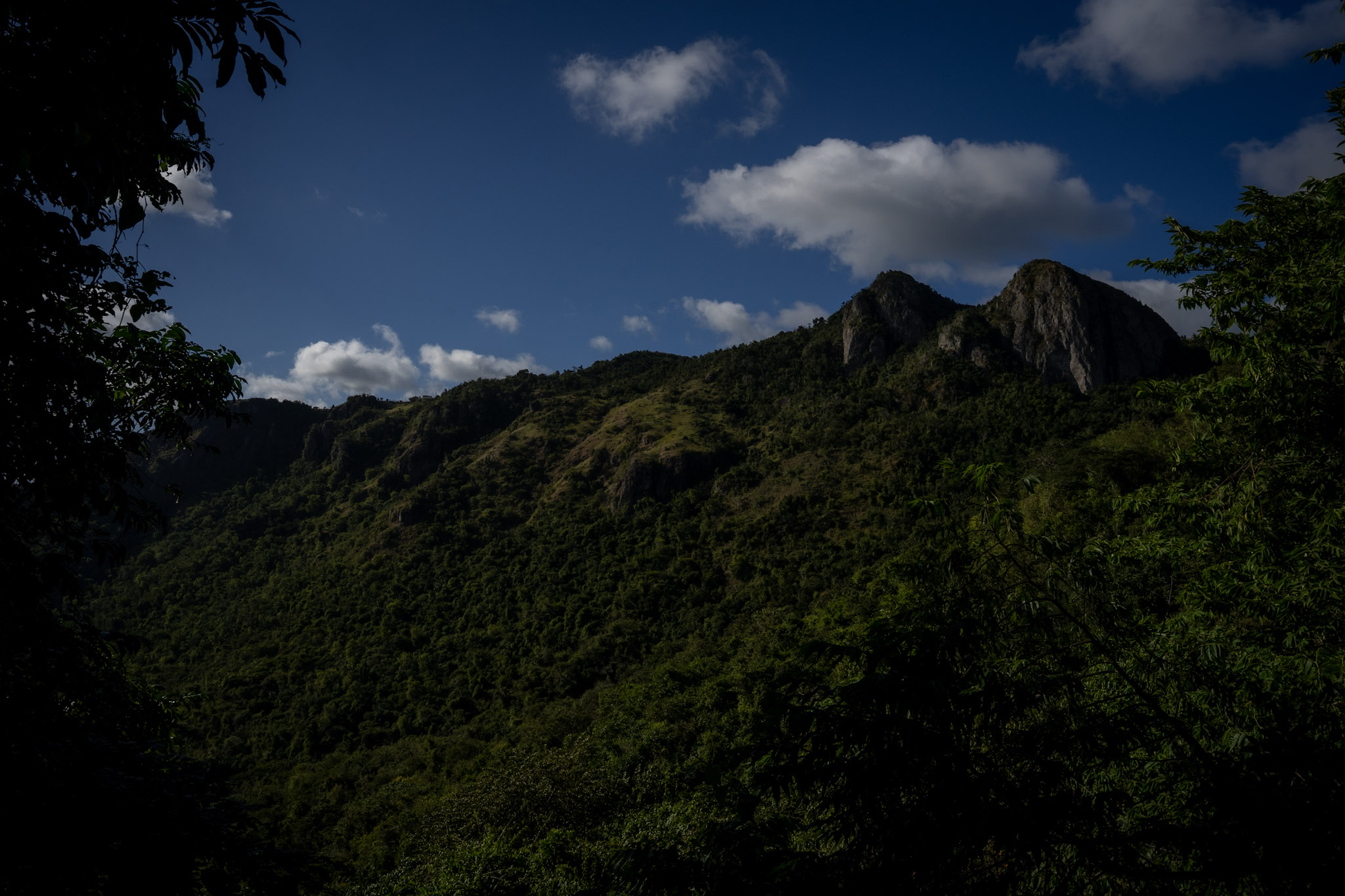 Cayey - foto 38