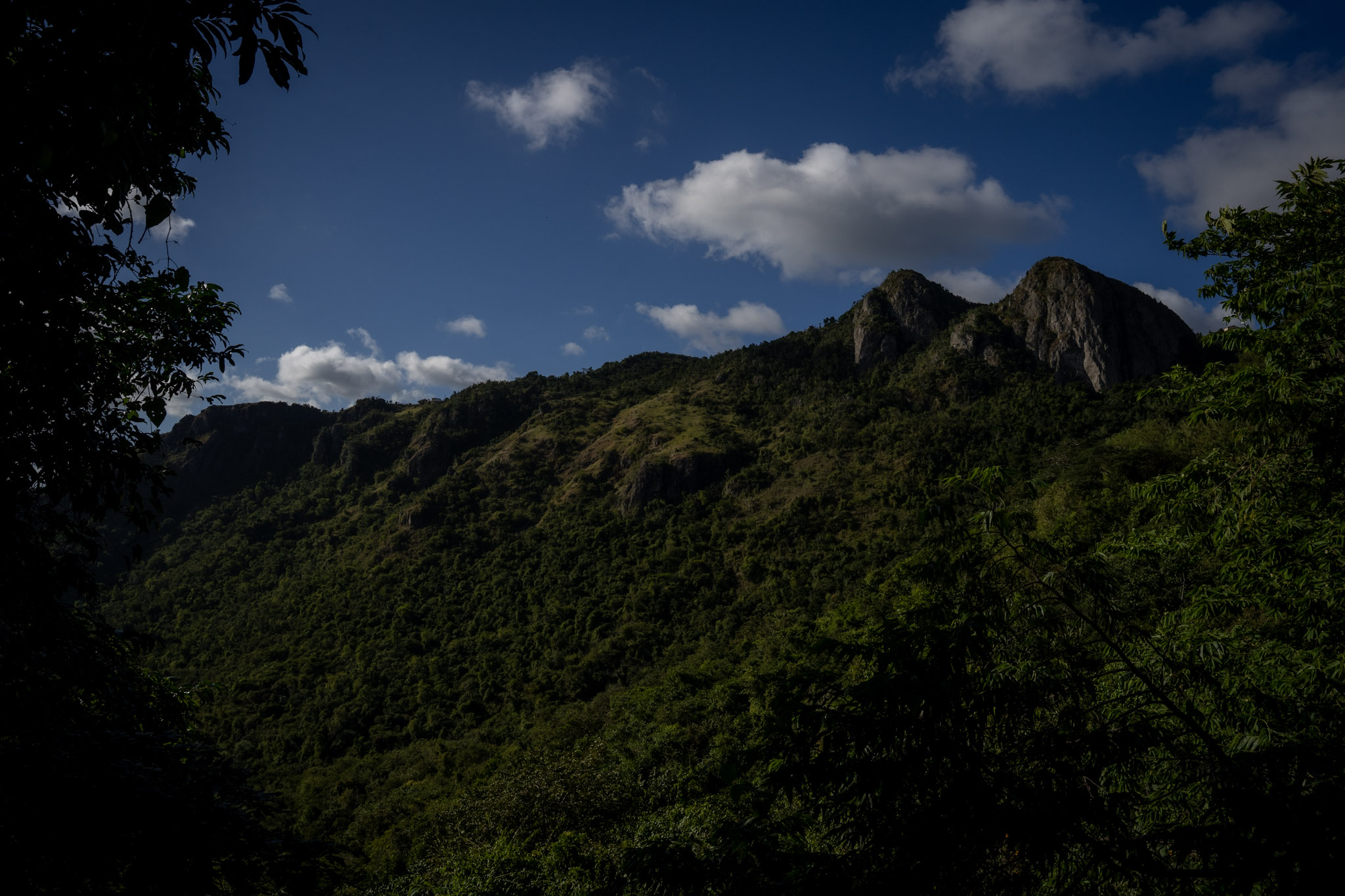 Cayey - foto 39