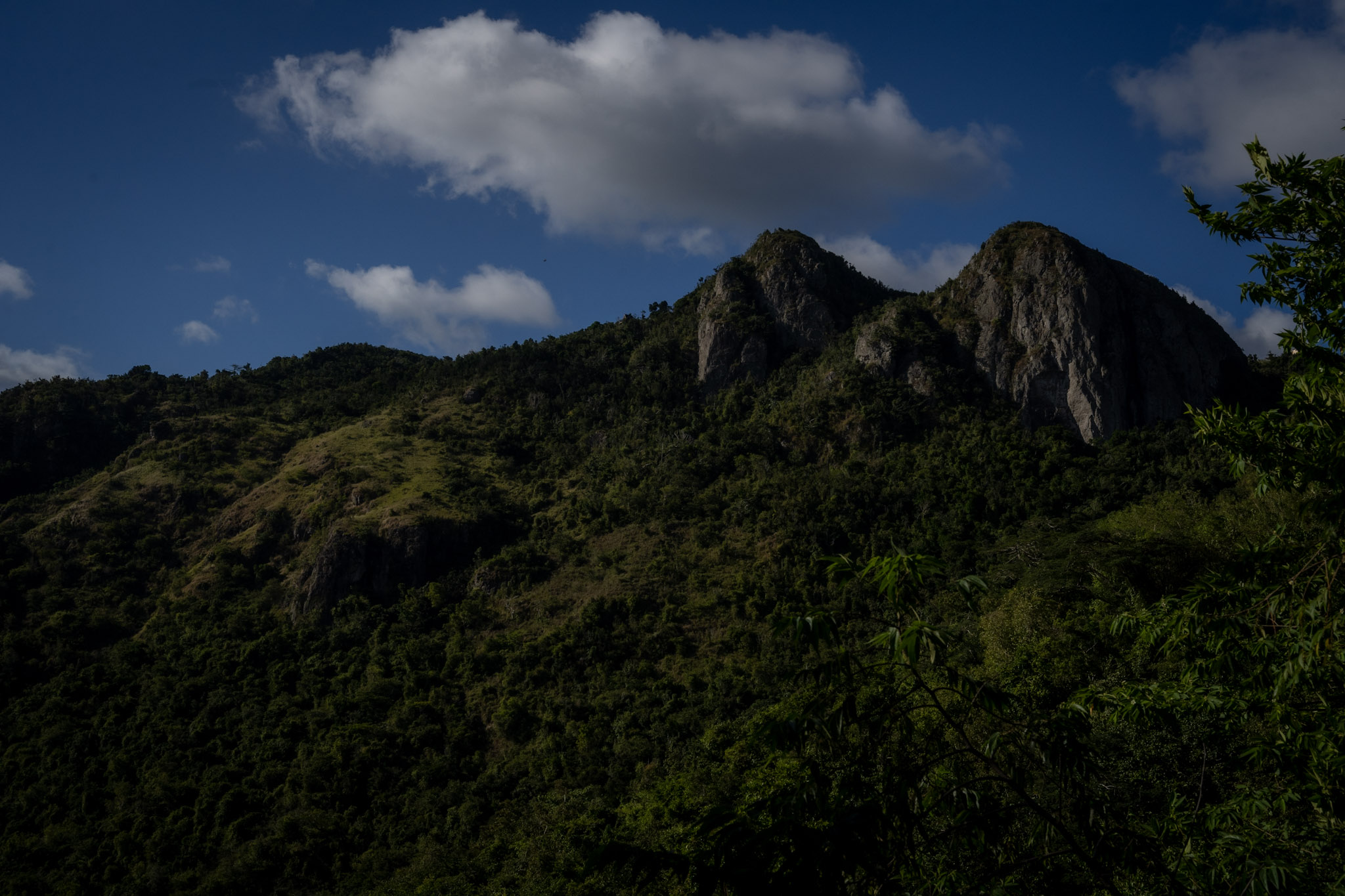 Cayey - foto 40