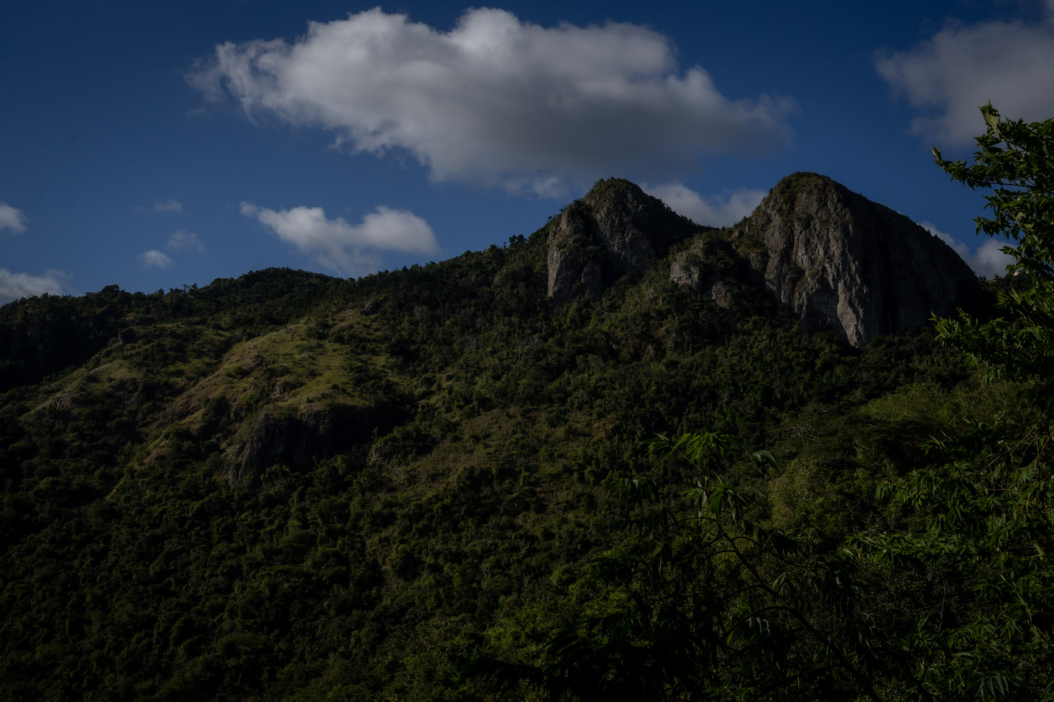 Cayey - foto 41