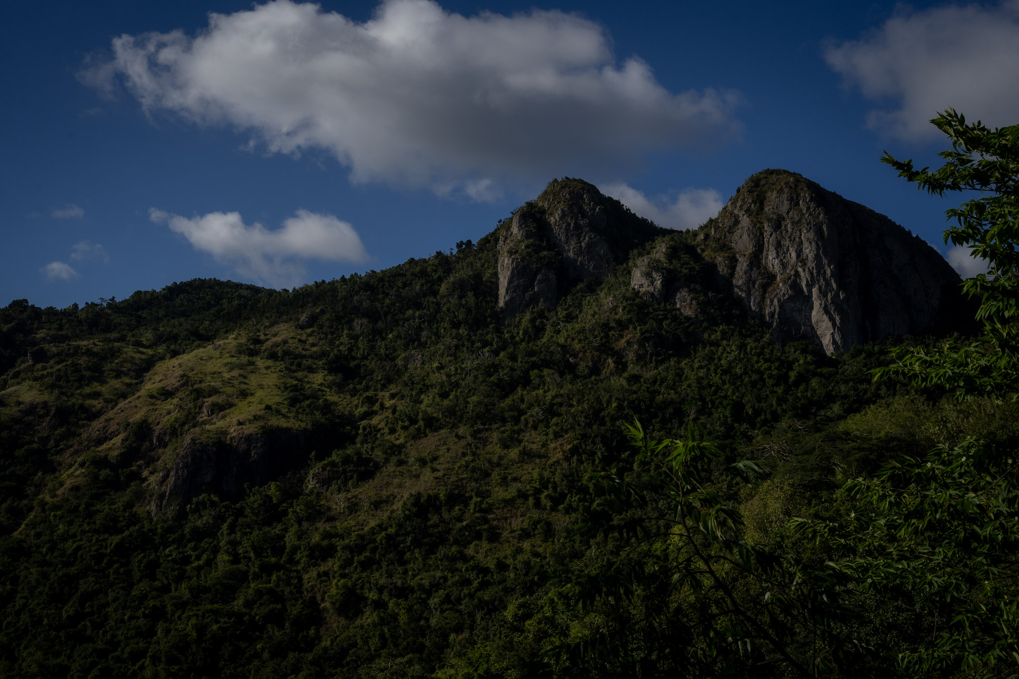 Cayey - foto 42