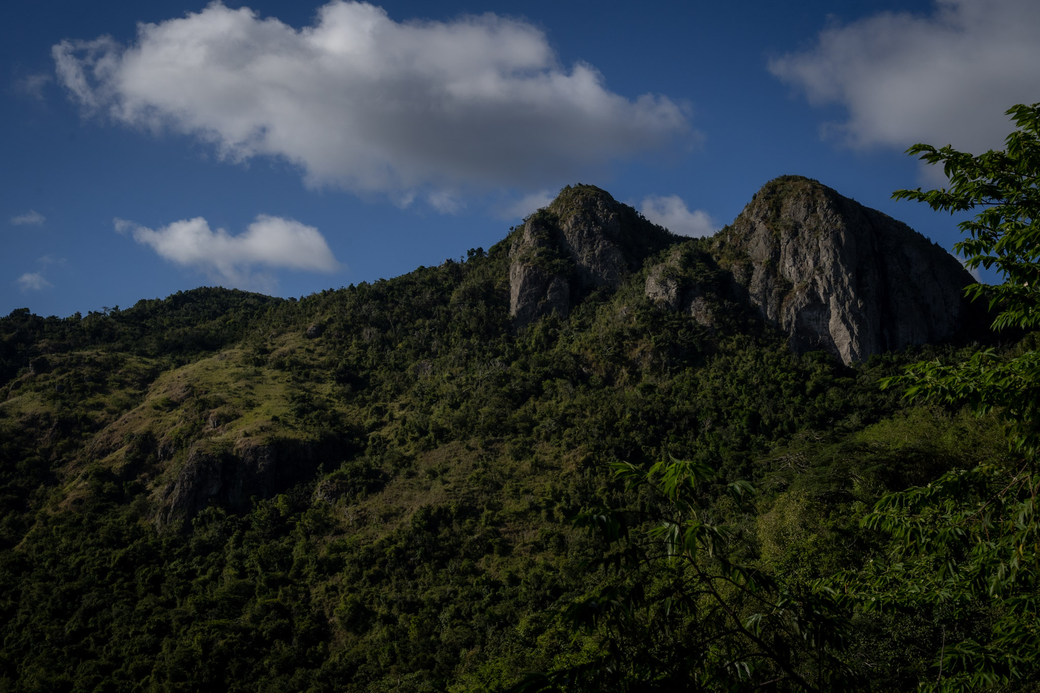 Cayey - foto 43