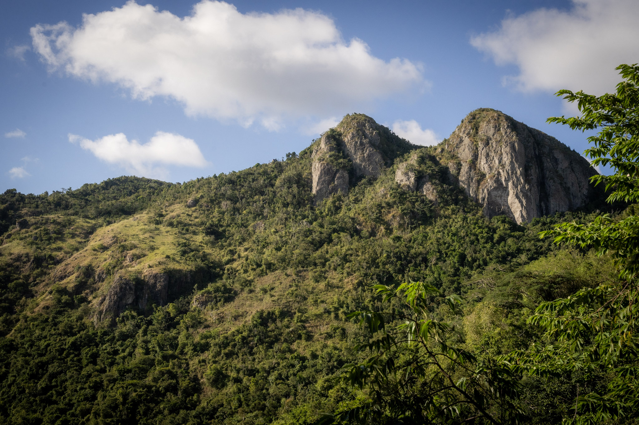 Cayey - foto 44