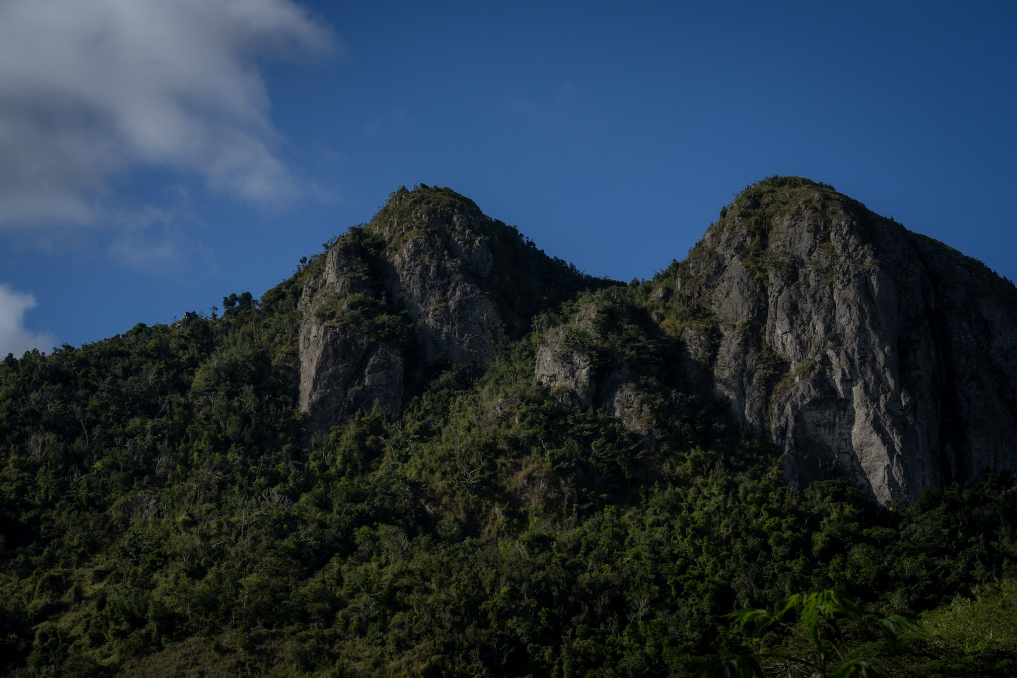 Cayey - foto 45