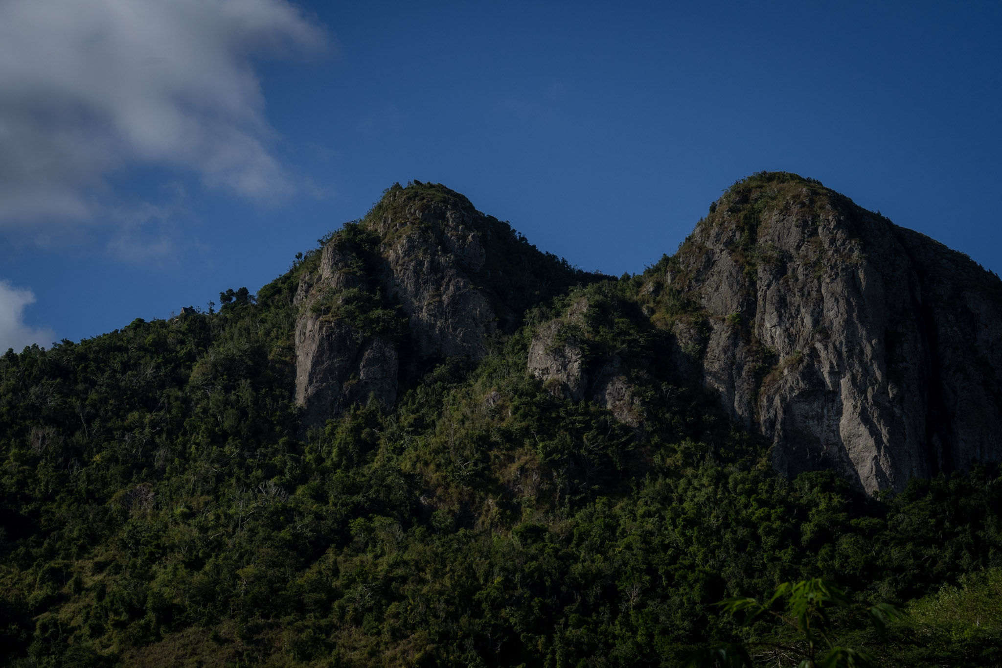 Cayey - foto 46