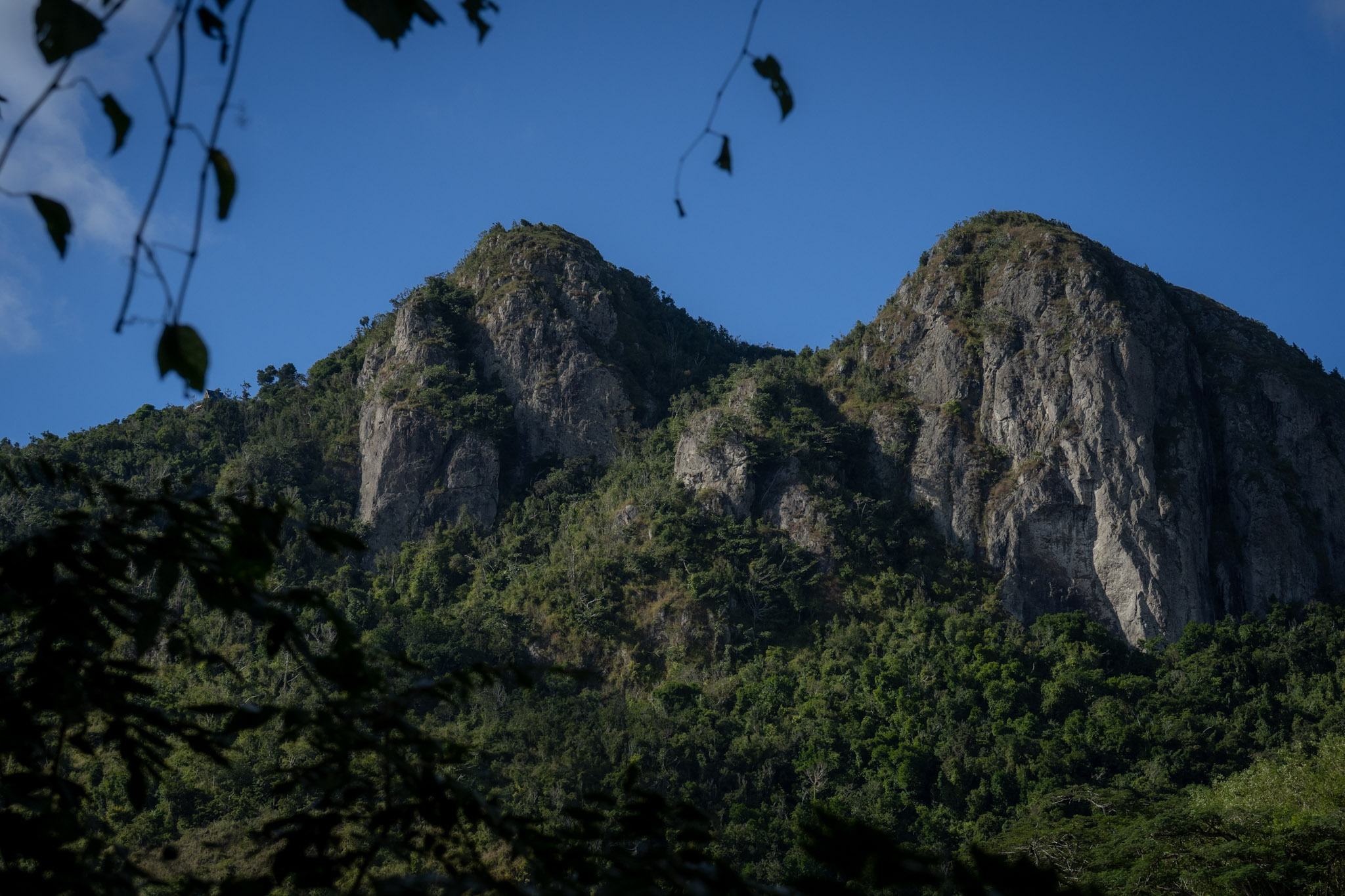 Cayey - foto 48