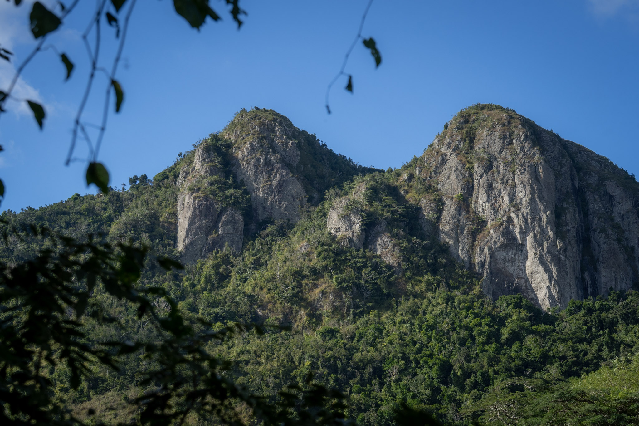 Cayey - foto 49