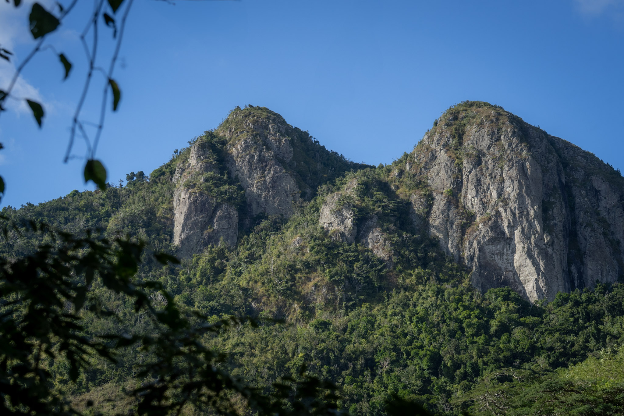 Cayey - foto 50