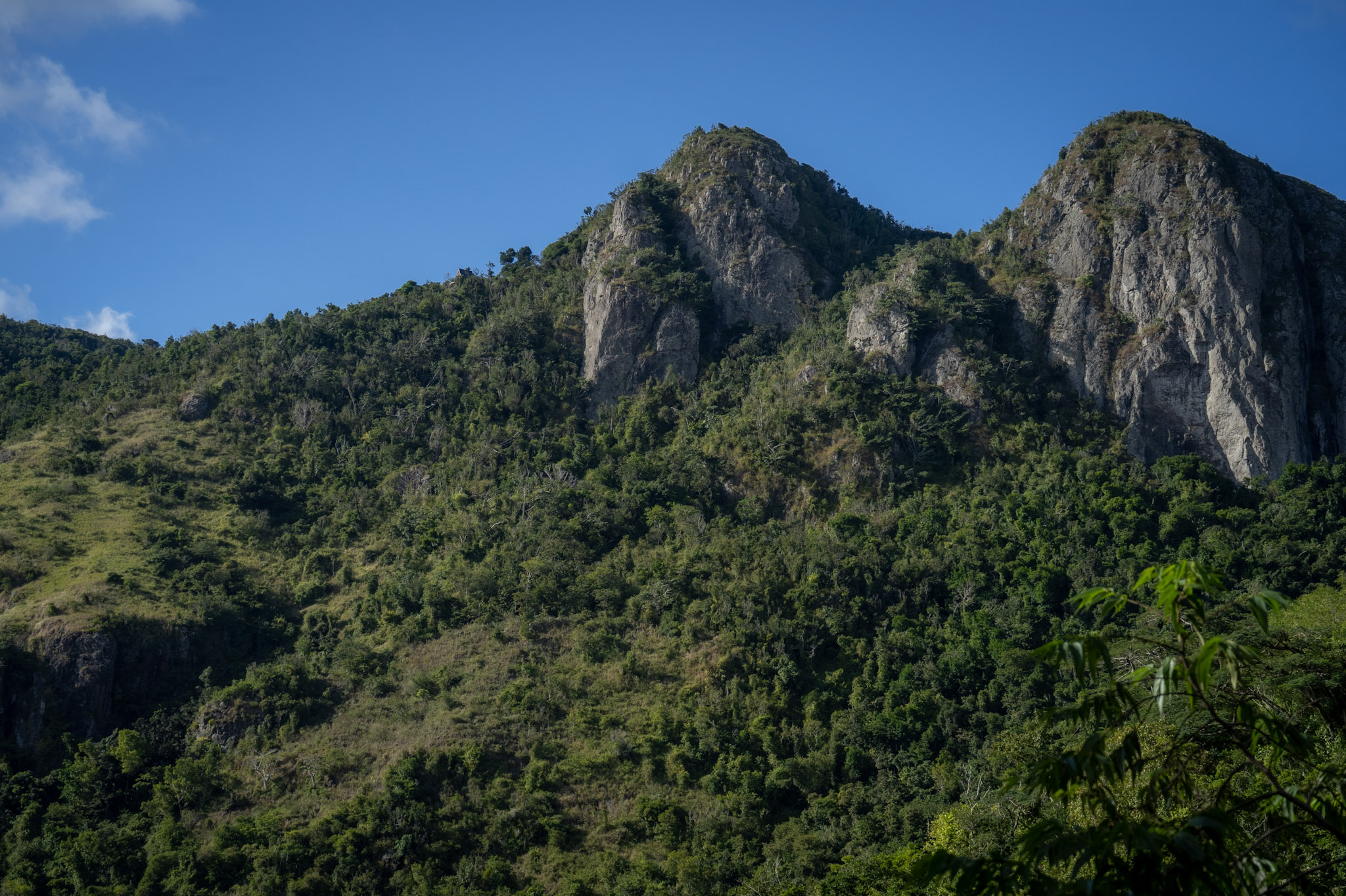 Cayey - foto 51